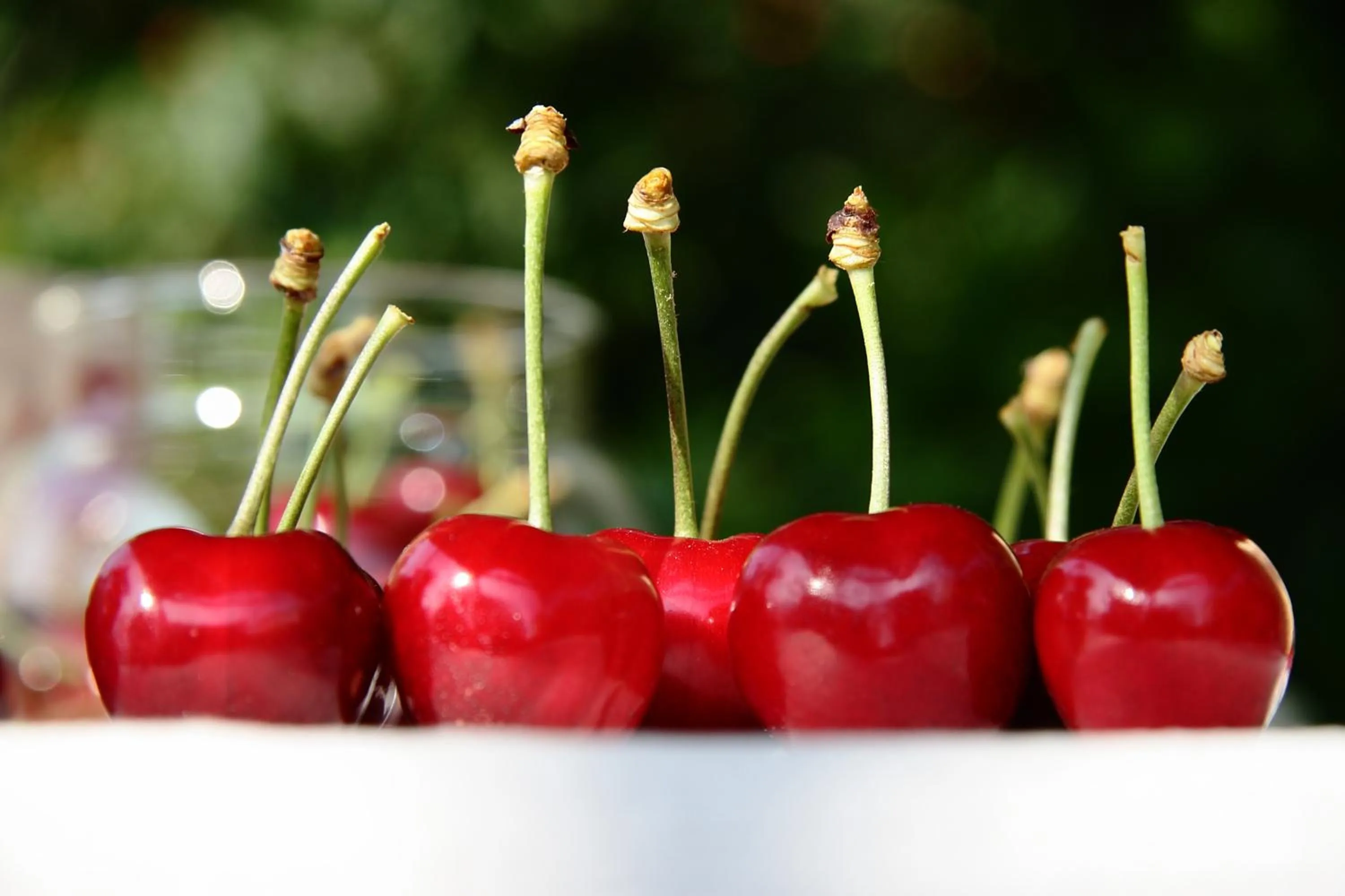 Spring in I Calleri Garden and Rooms