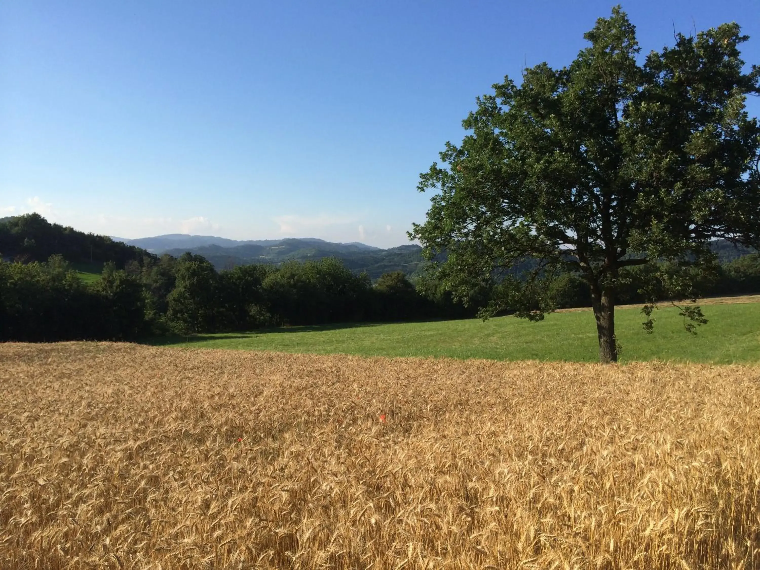 I Calleri Garden and Rooms I Calleri Garden and Rooms