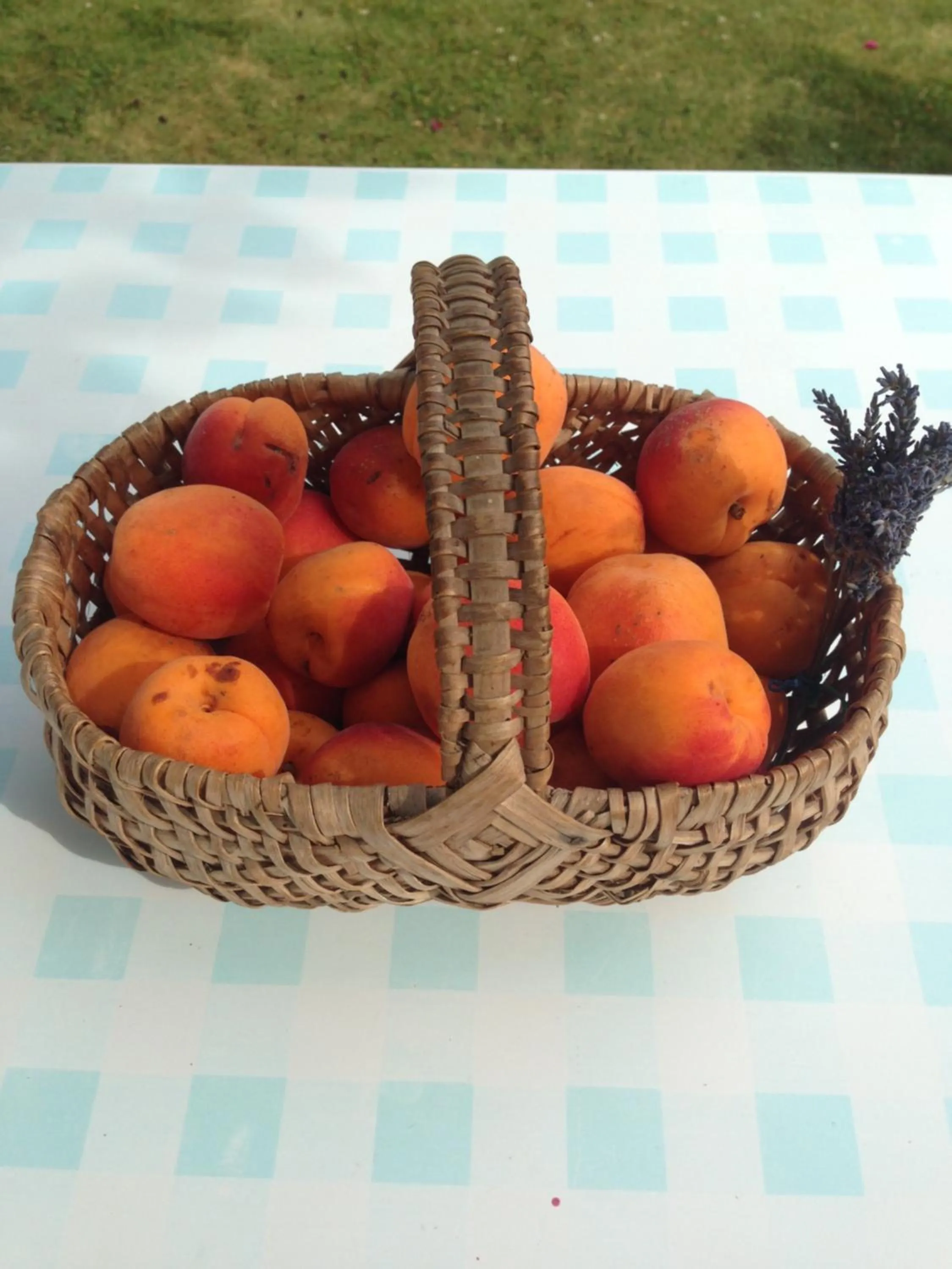 Chambres d'hôtes Le Bignon dans les Alpes Mancelles