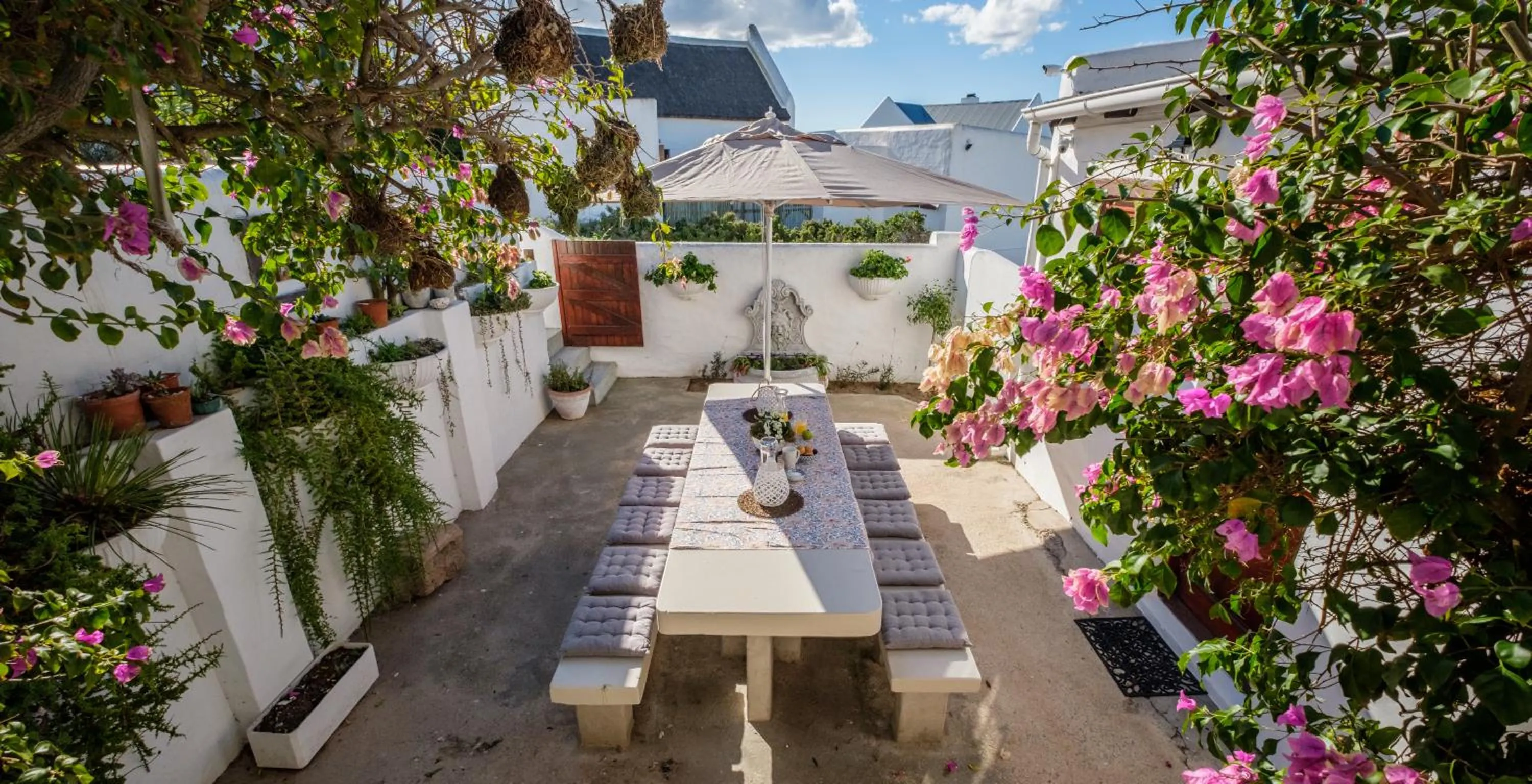 Garden in Smugglers' BnB