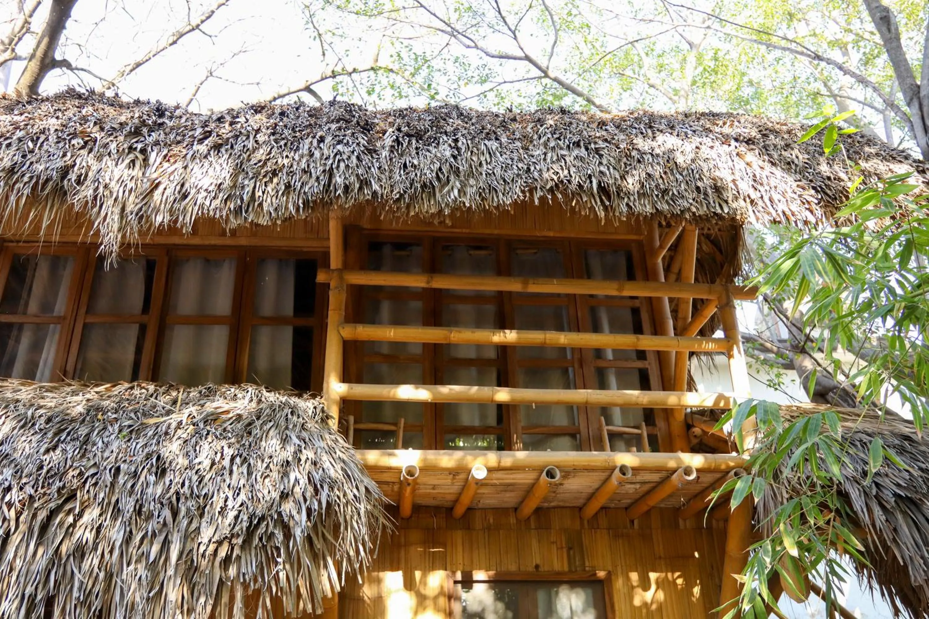 Property building in Eco Hotel Casa Kima