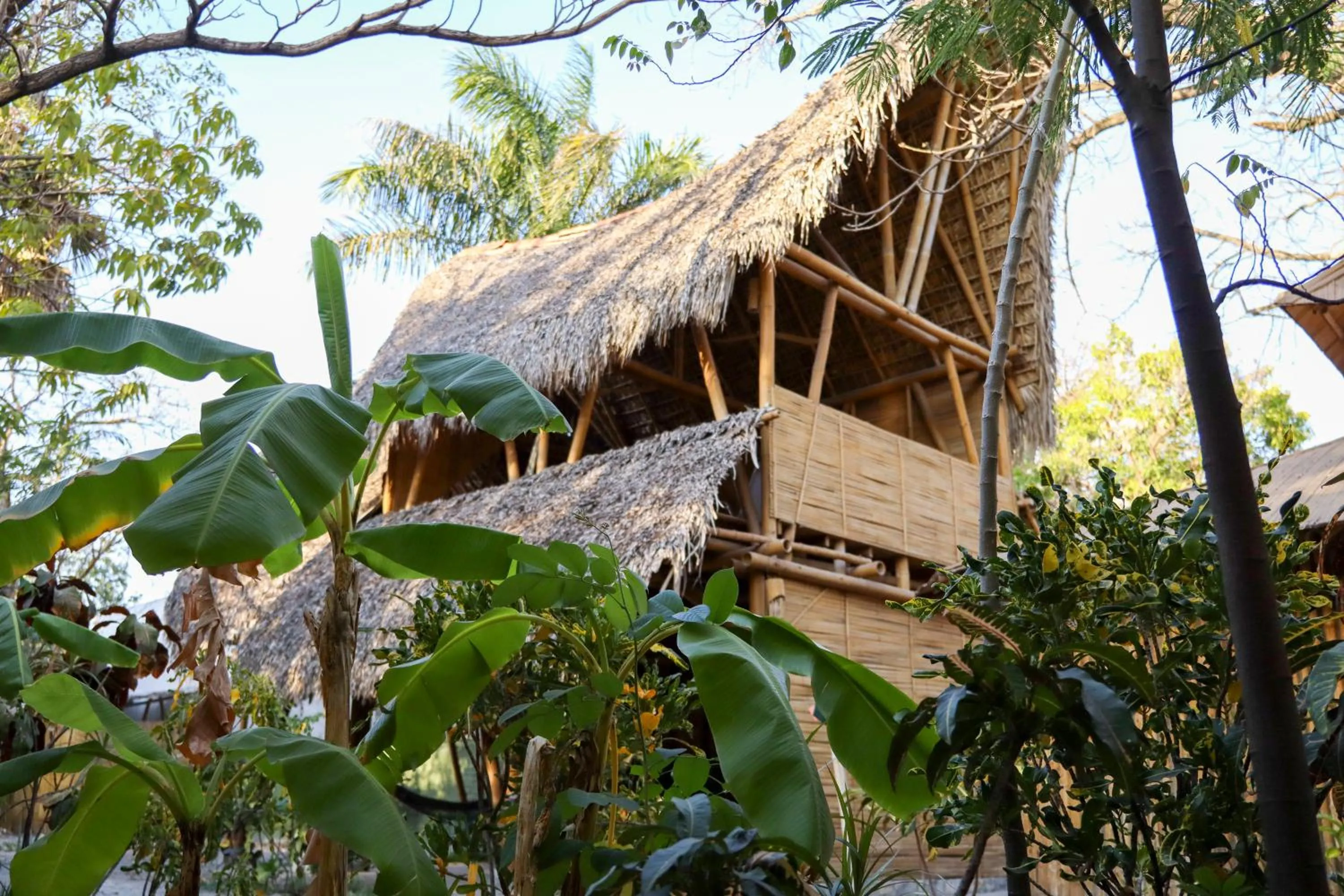 Property building in Eco Hotel Casa Kima