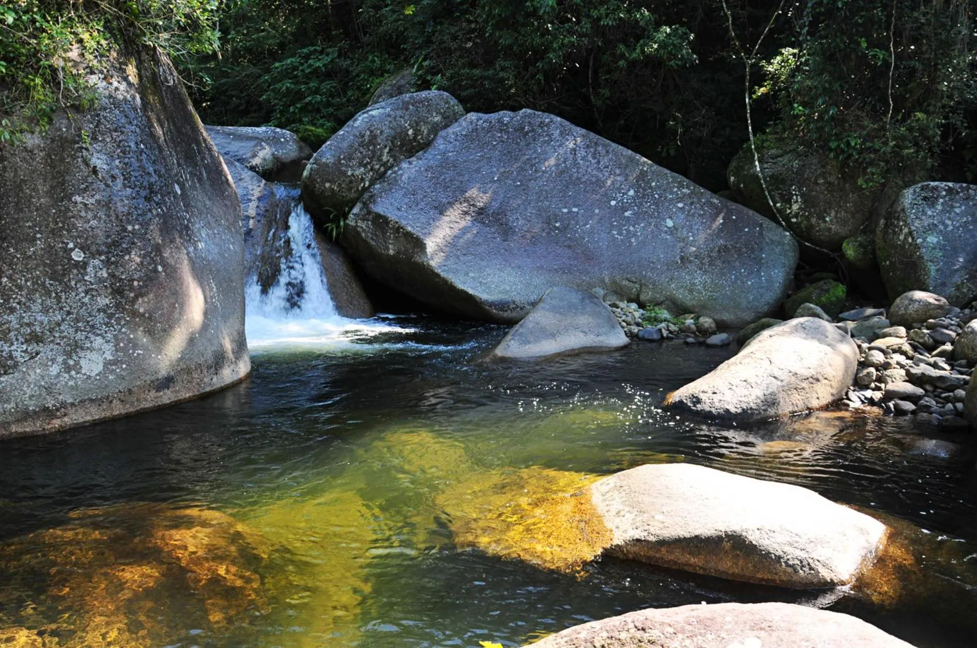 Activities in Sitio Namaste Paraty