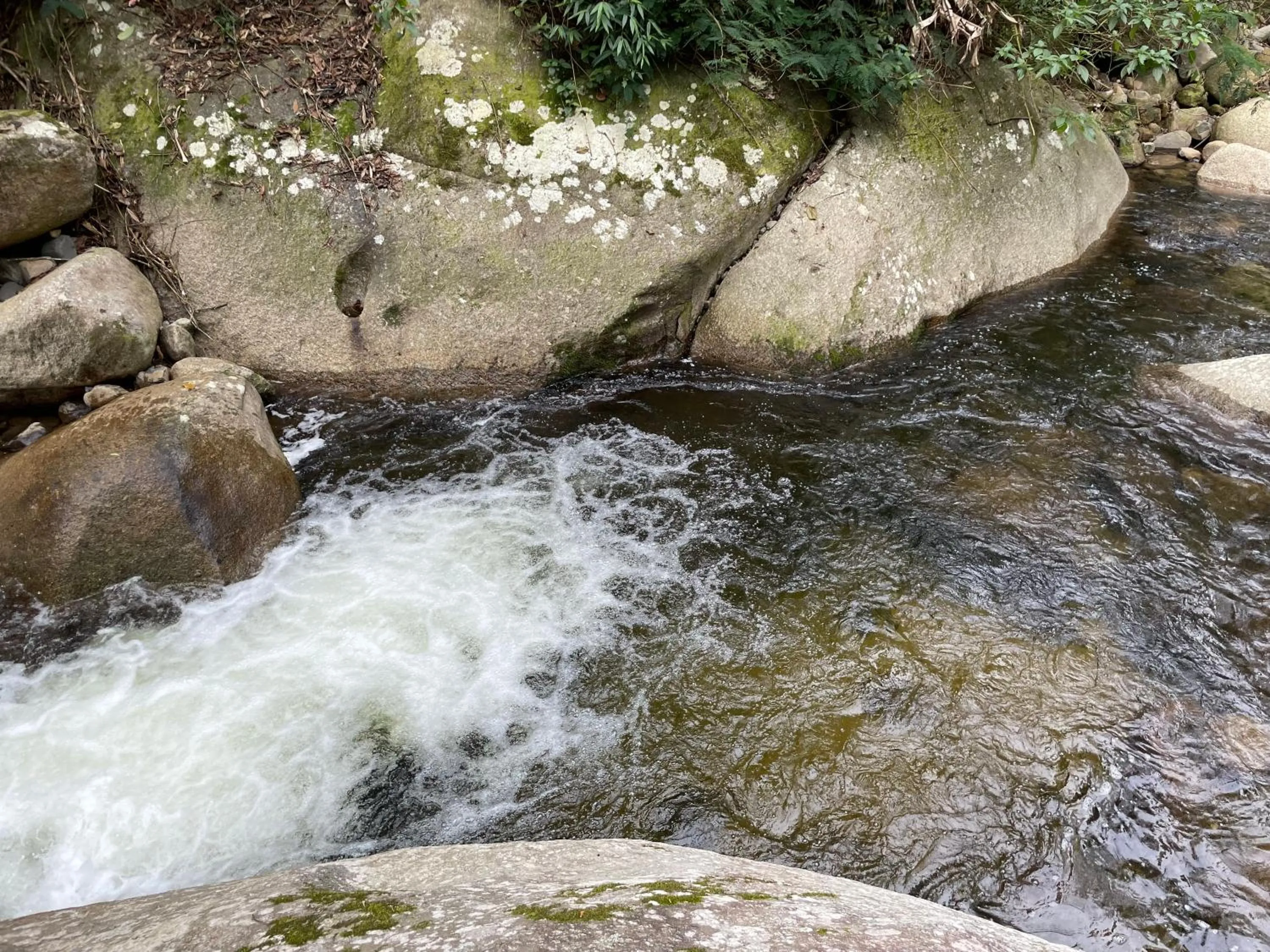 Natural landscape in Sitio Namaste Paraty