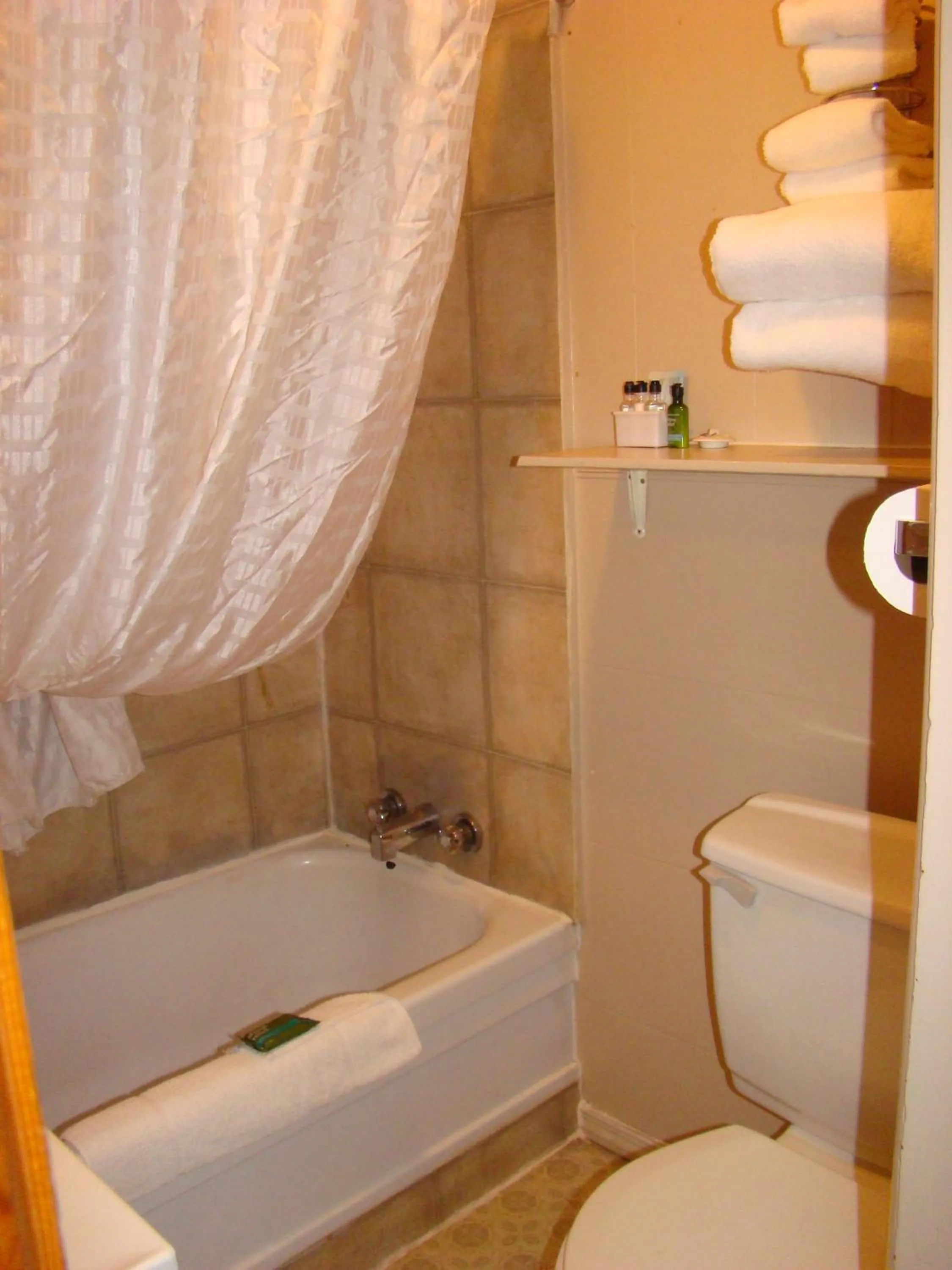 Bathroom in Paddock Inn