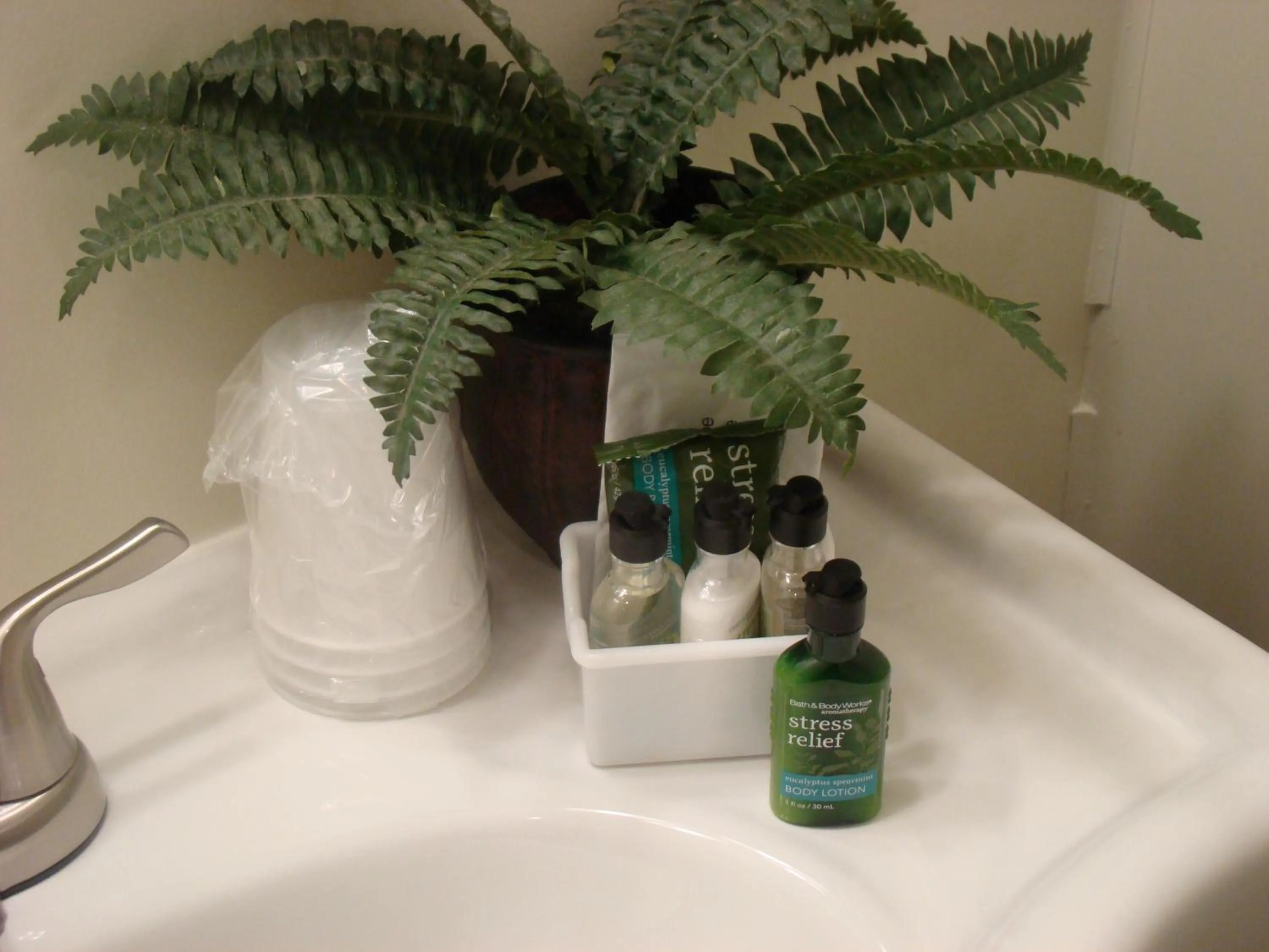 Bathroom in Paddock Inn