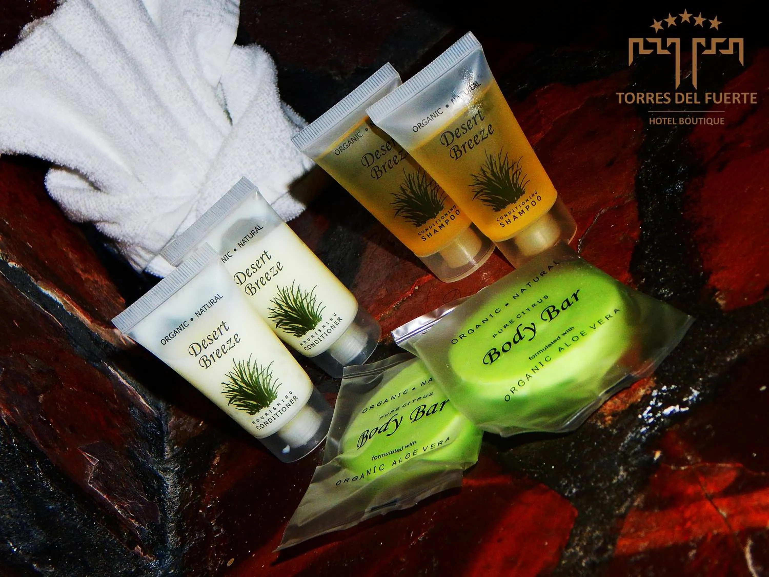 Shower in Hotel Torres Del Fuerte