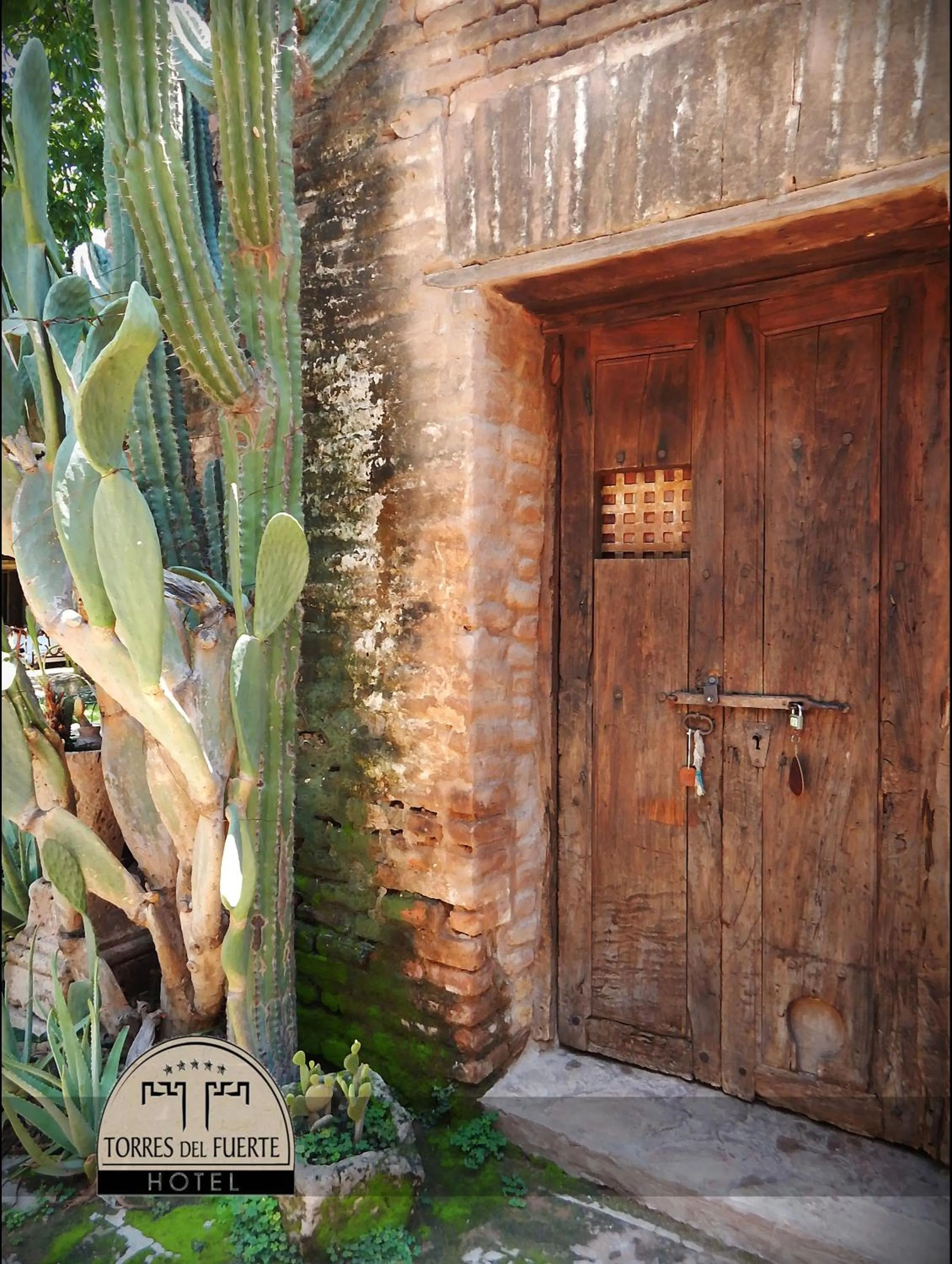 Garden view in Hotel Torres Del Fuerte