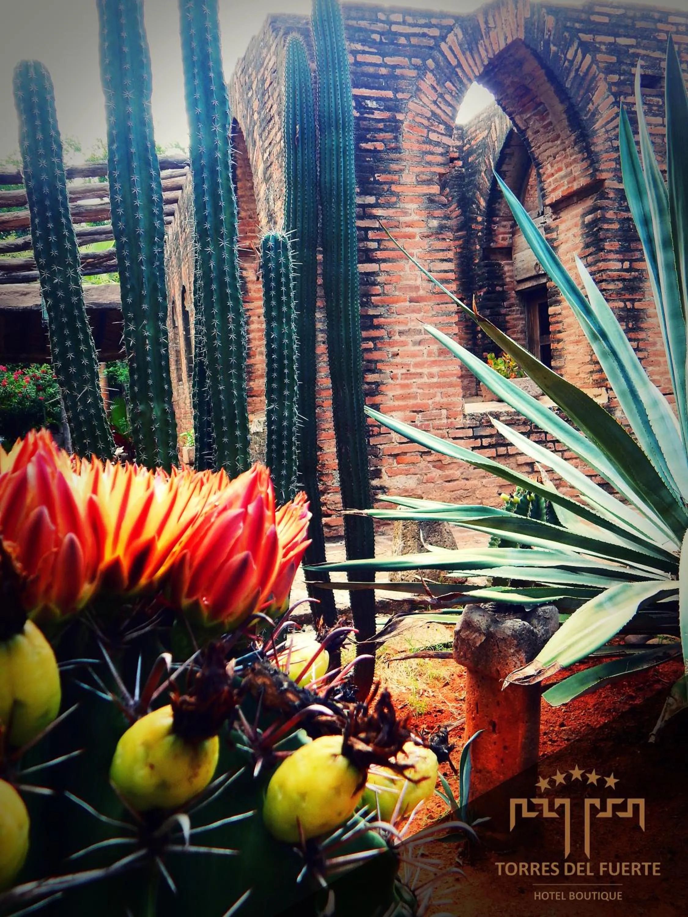 Garden in Hotel Torres Del Fuerte