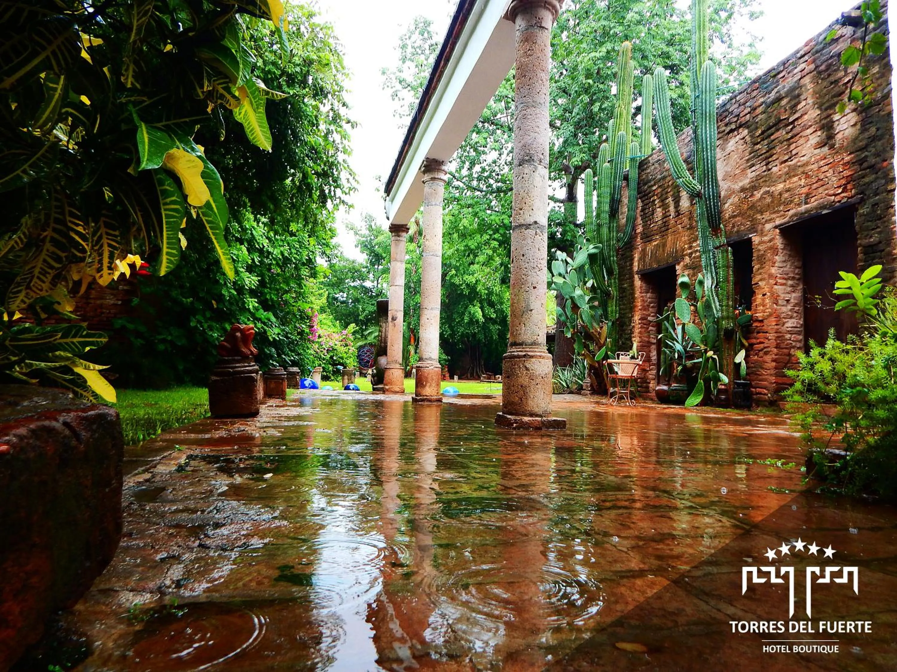 Garden in Hotel Torres Del Fuerte