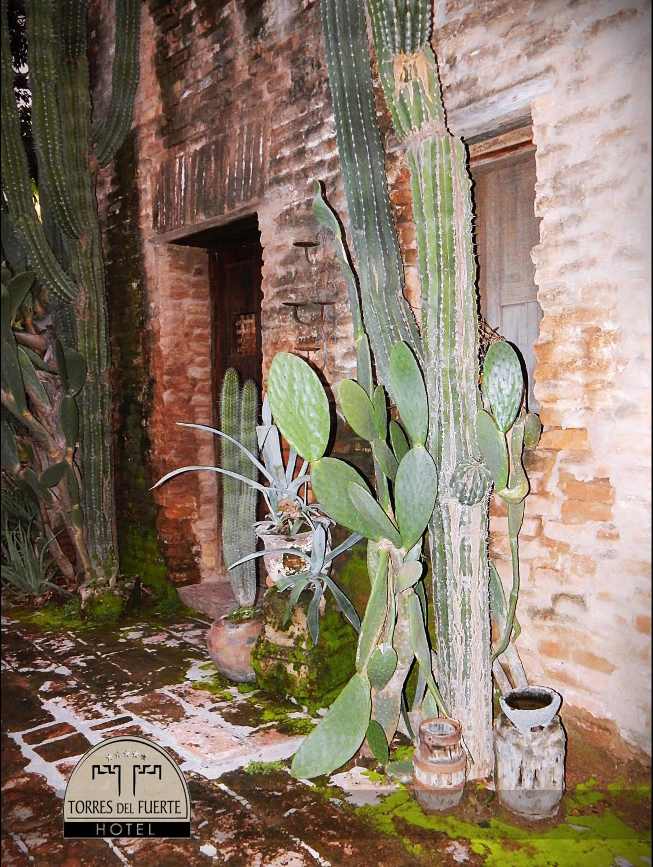 Garden in Hotel Torres Del Fuerte