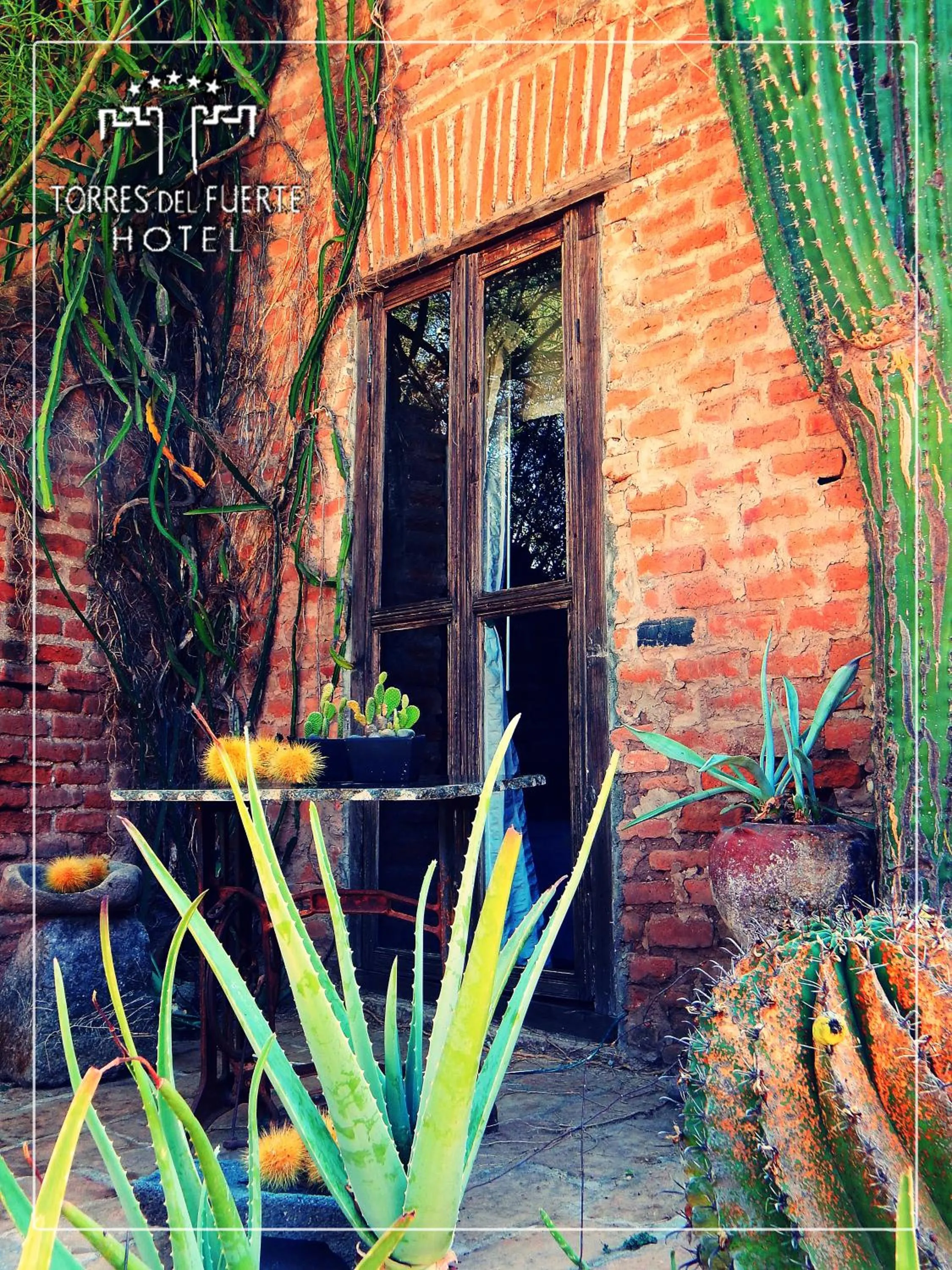 Garden in Hotel Torres Del Fuerte