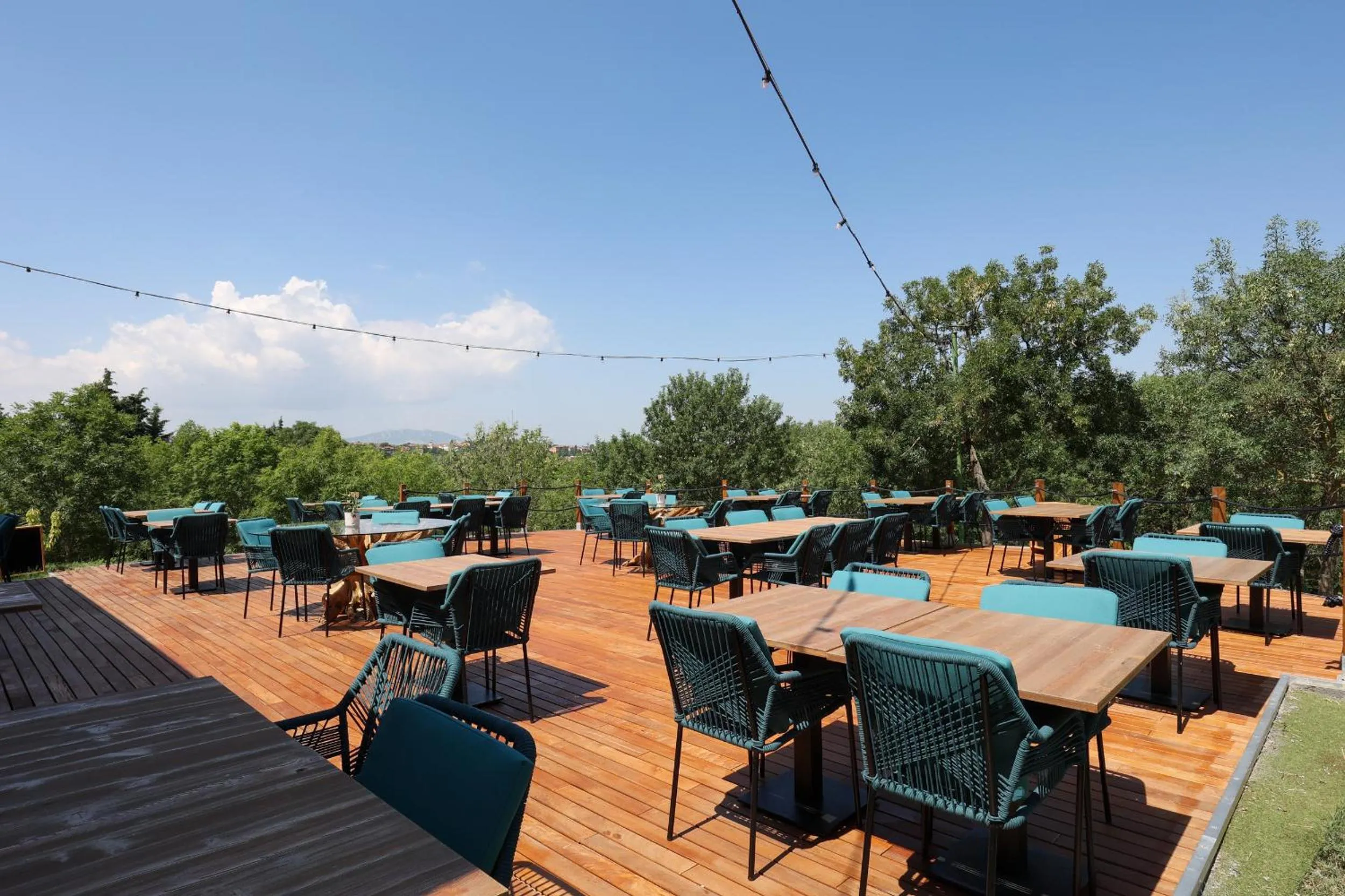 Restaurant/places to eat in Il Podere Del Germano Reale