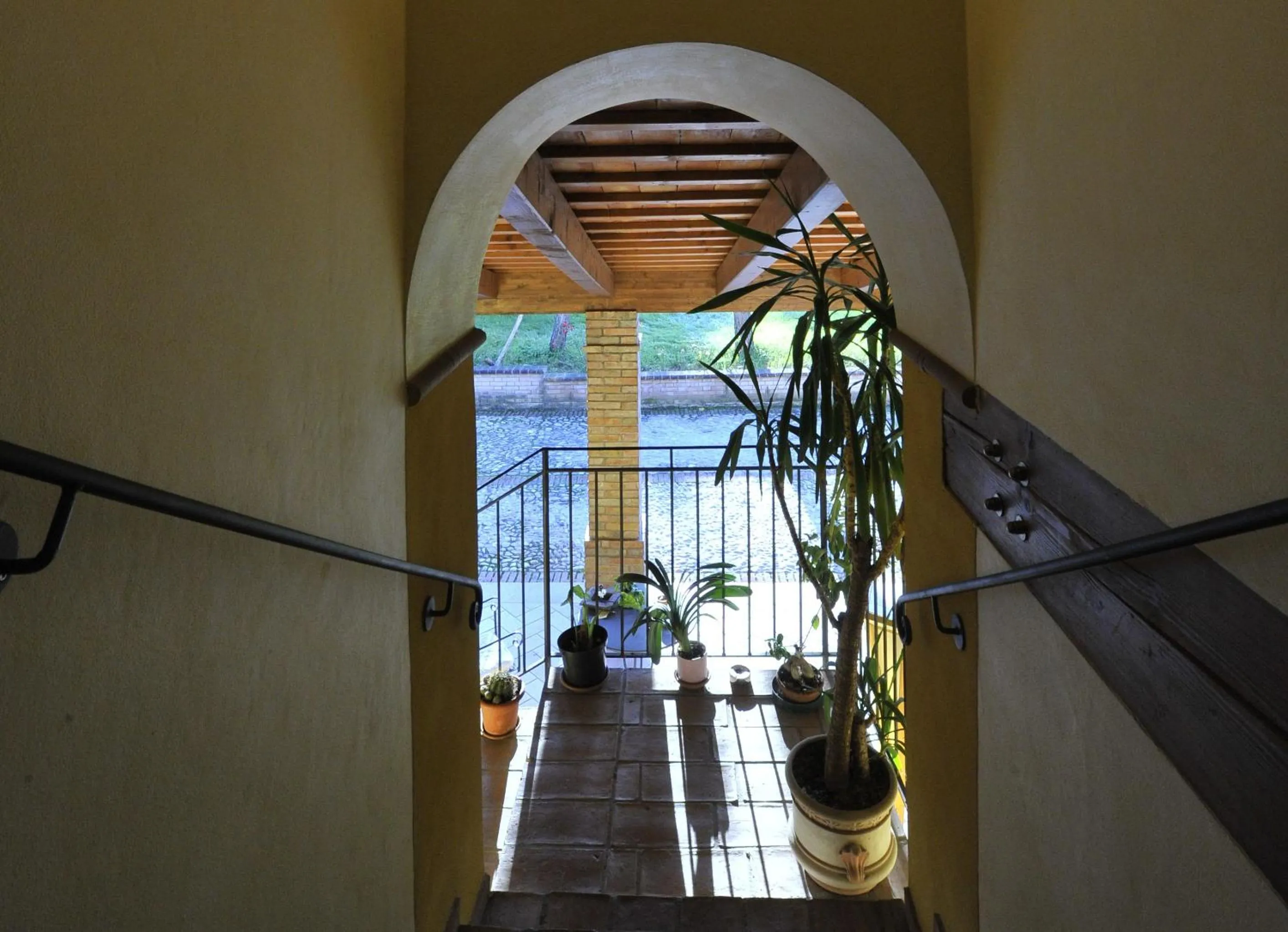 Day in Il Podere Del Germano Reale