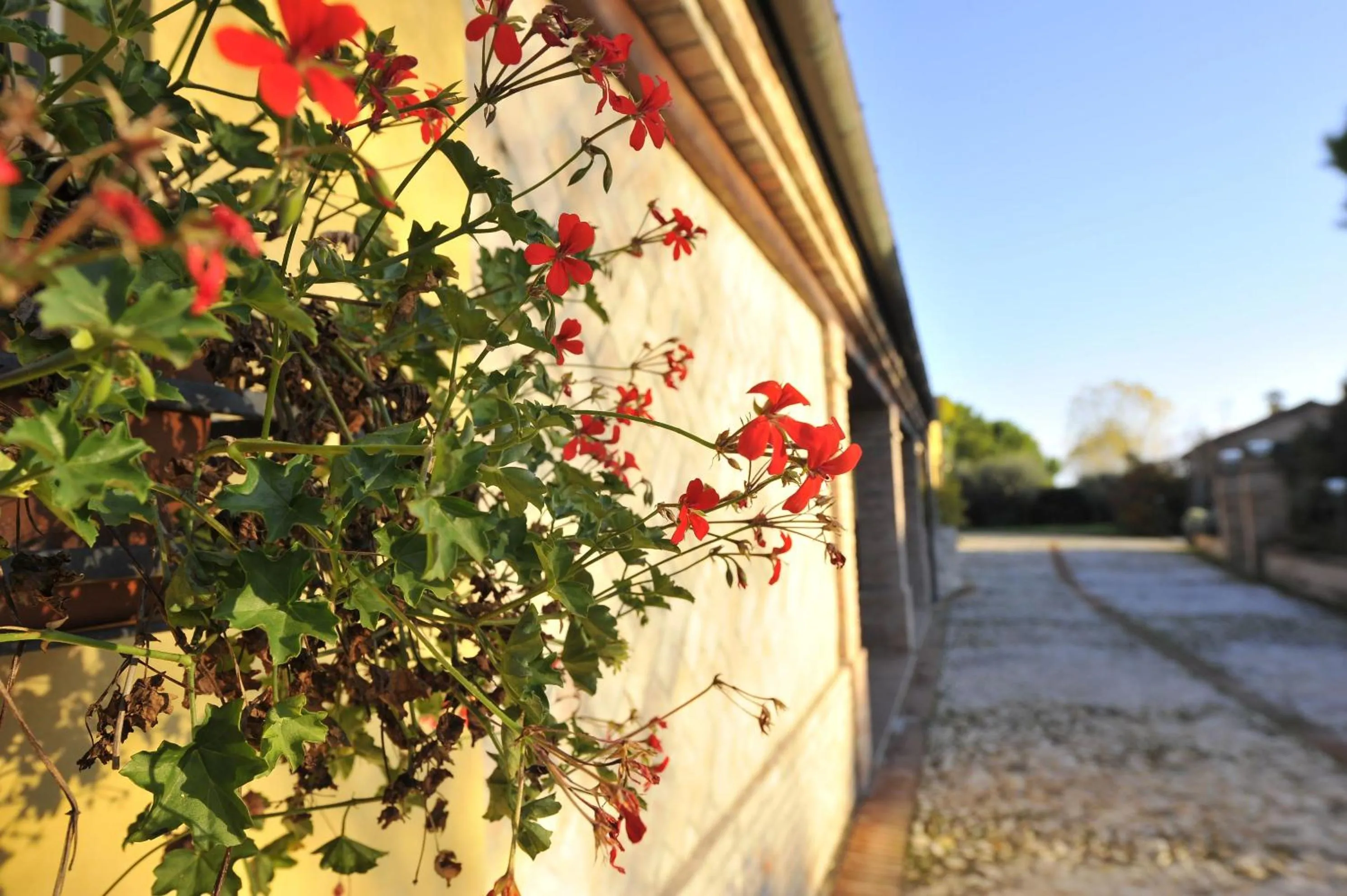 Facade/entrance in Il Podere Del Germano Reale