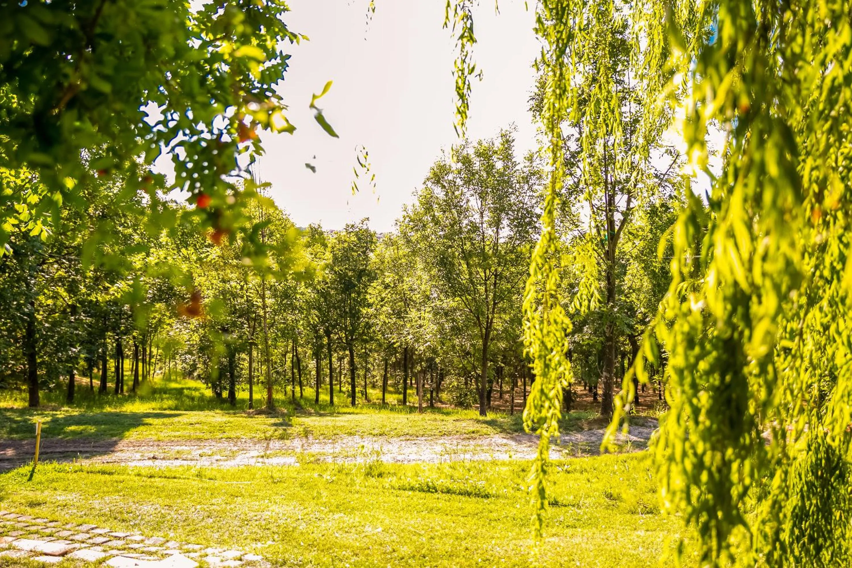 Natural landscape in Il Podere Del Germano Reale