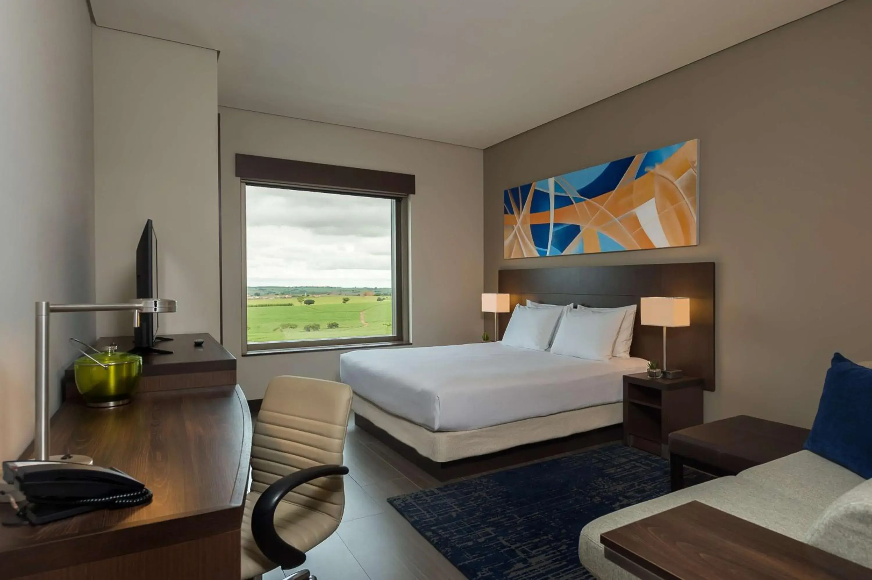 King Room with View in Hyatt Place Sao Jose do Rio Preto King Room with View in Hyatt Place Sao Jose do Rio Preto
