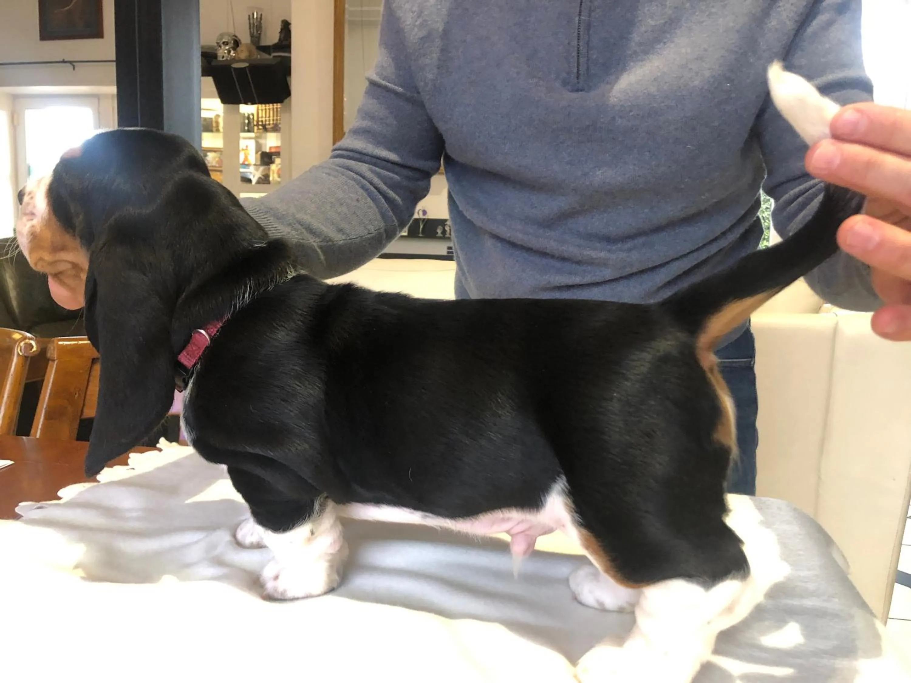 Property building in Le Mas des Platanes