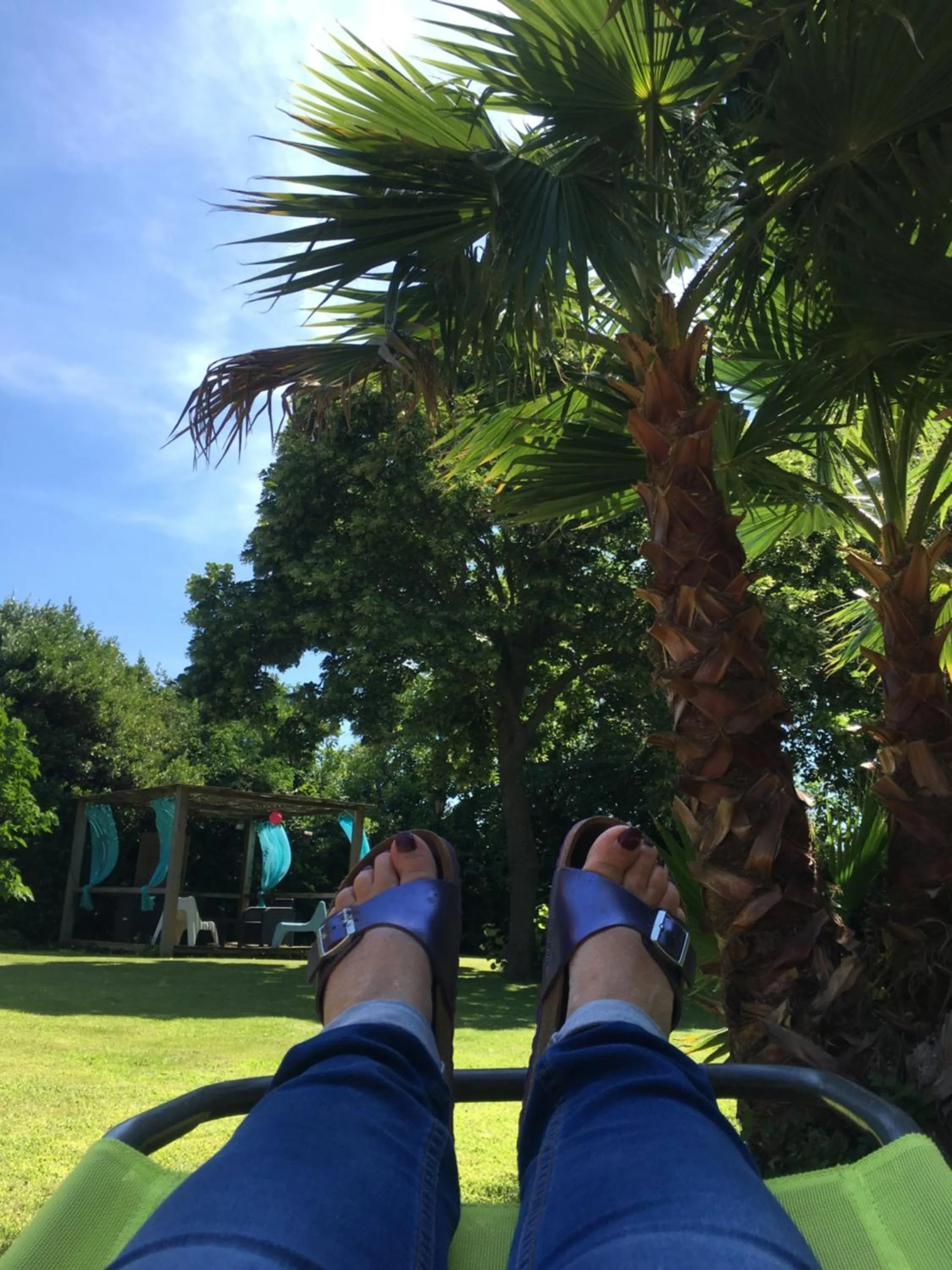 Garden in Le Mas des Platanes