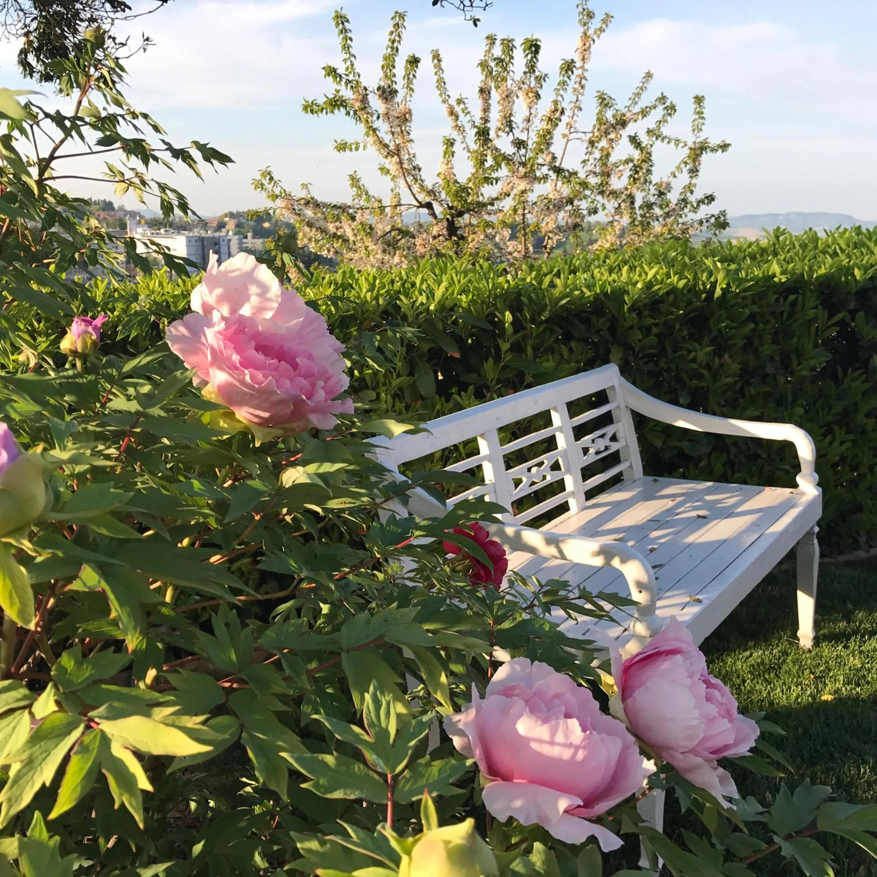 Patio in Residenza Ambrogi