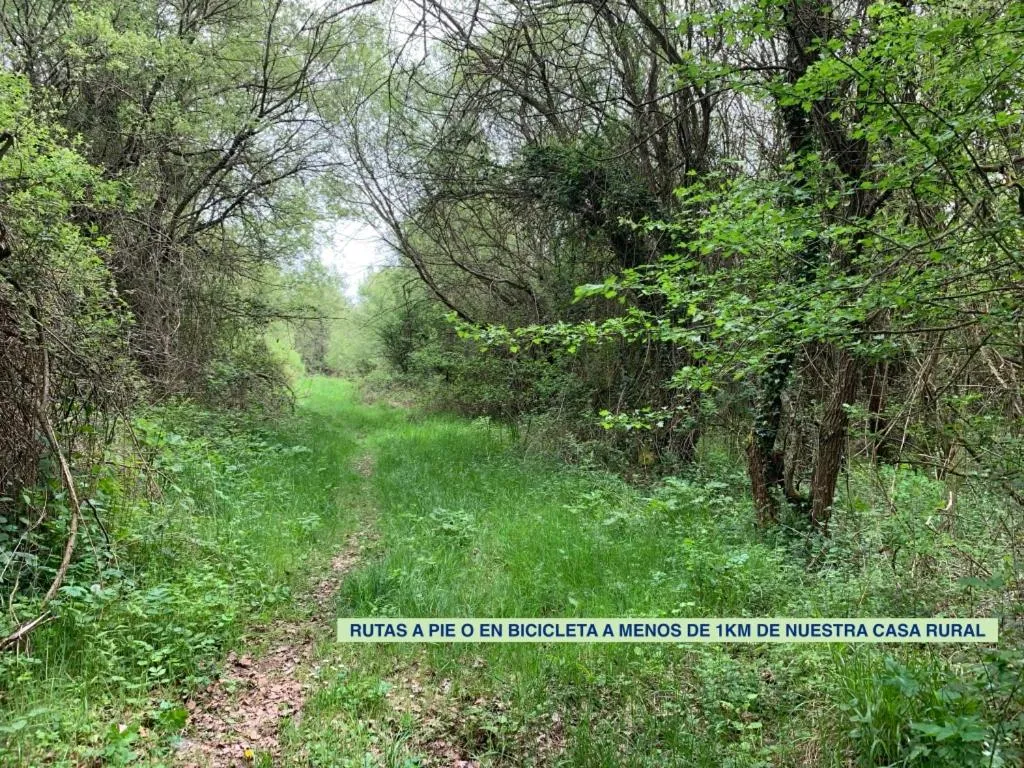 Entertainment in La Cabala de Ibeas