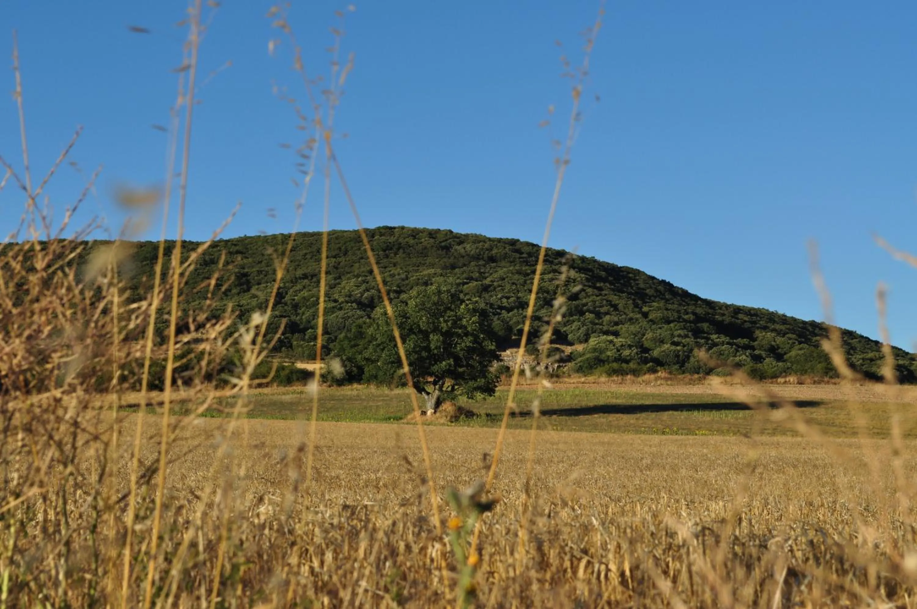 Natural landscape in La Cabala de Ibeas