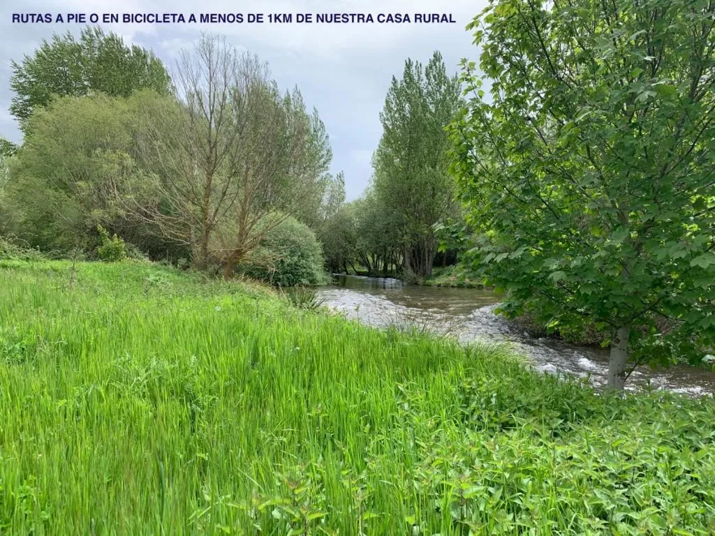 Entertainment in La Cabala de Ibeas