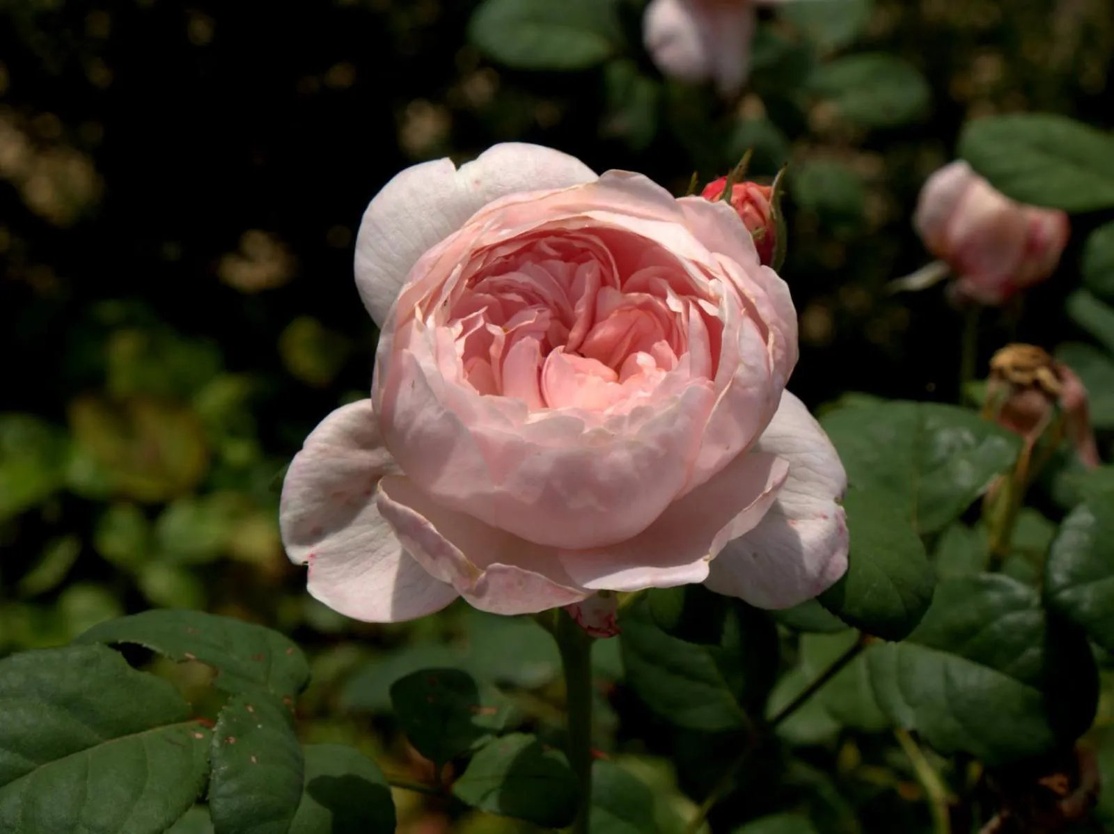 Property building in Hotel Vorsen