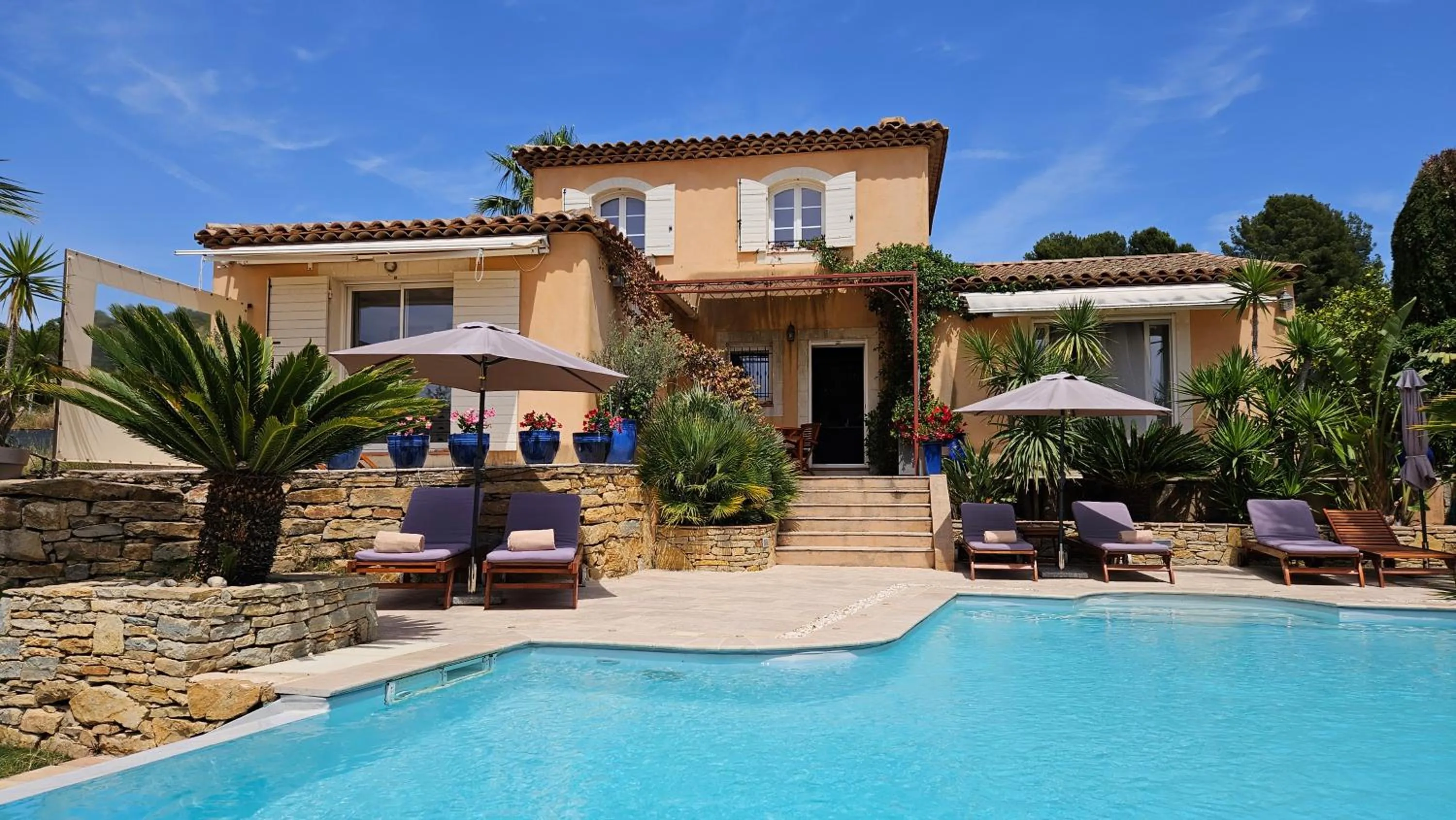 la cigale sous l'olivier