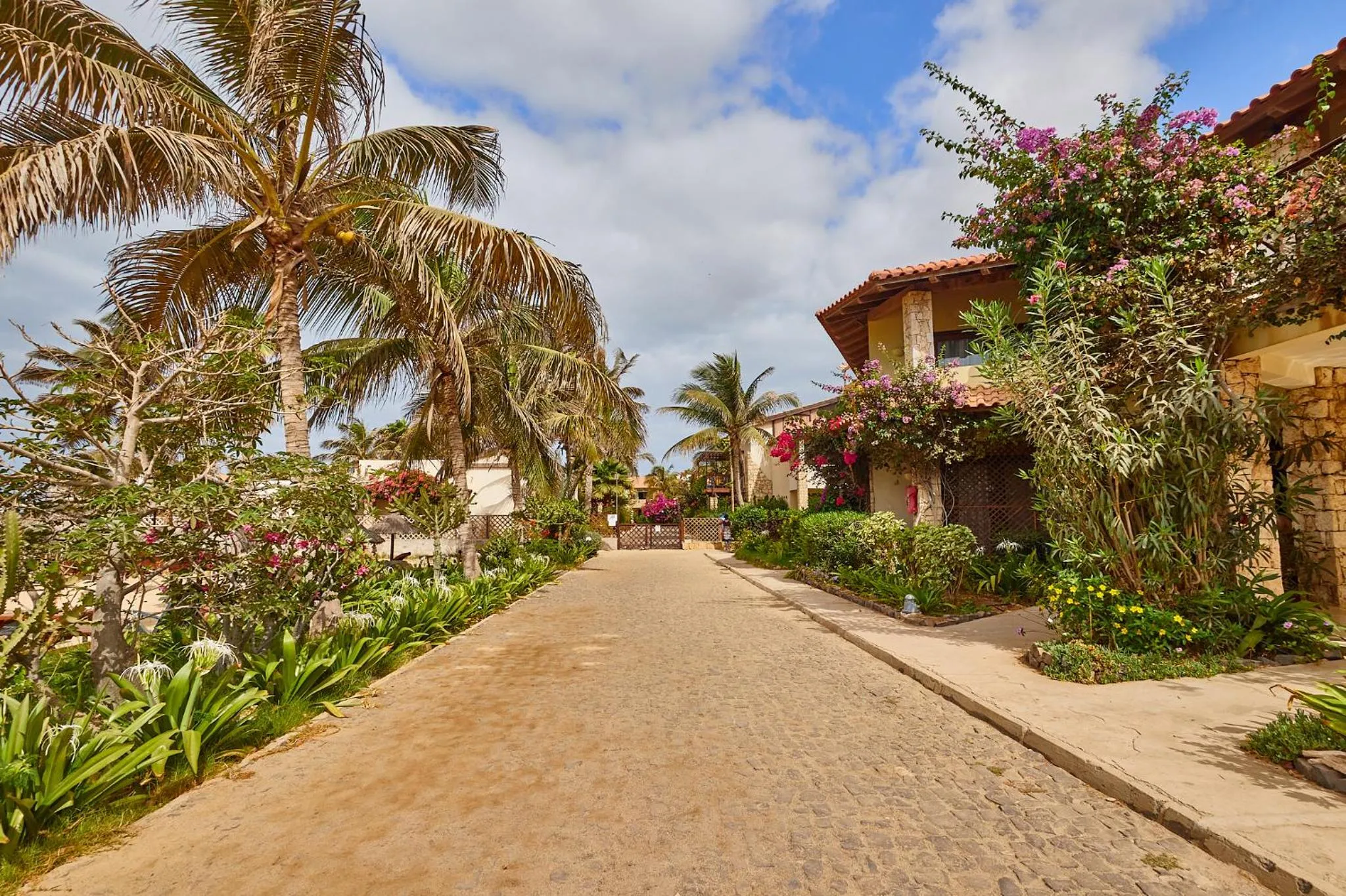 Garden view in Porto Antigo Hotel BB