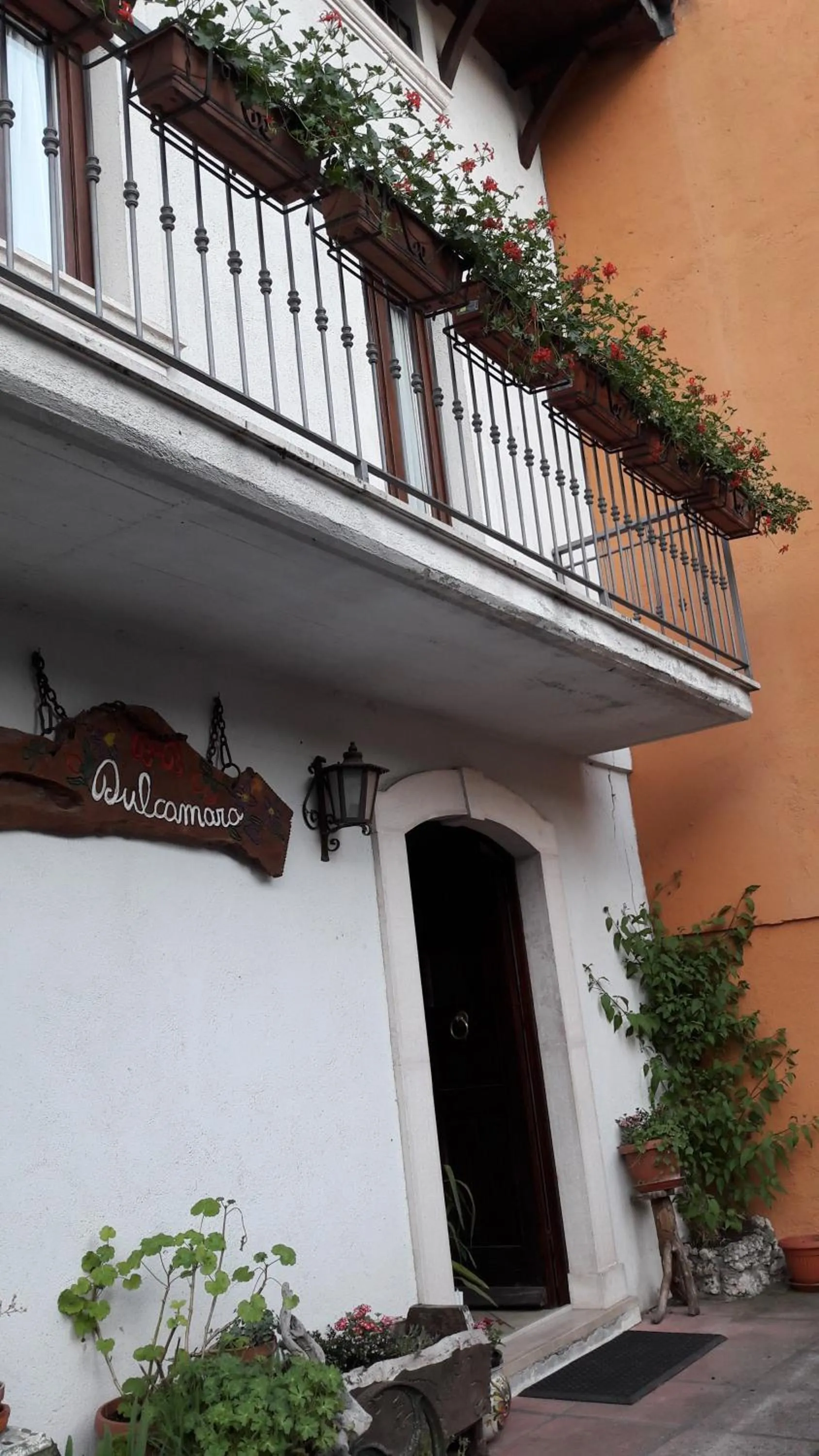 Property logo or sign in Dulcamara