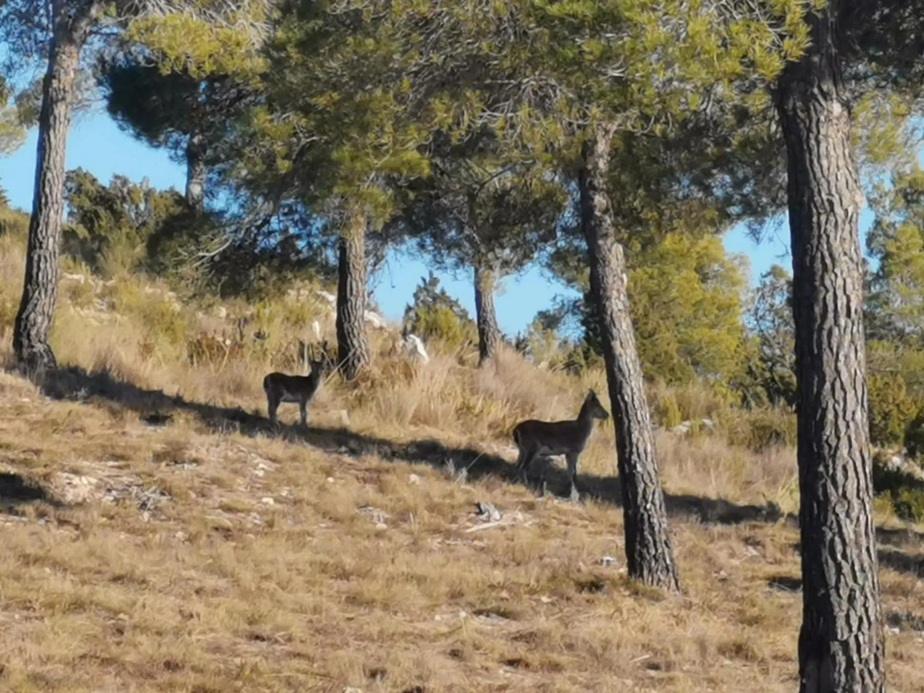 Natural landscape in Hotel Raimblanc