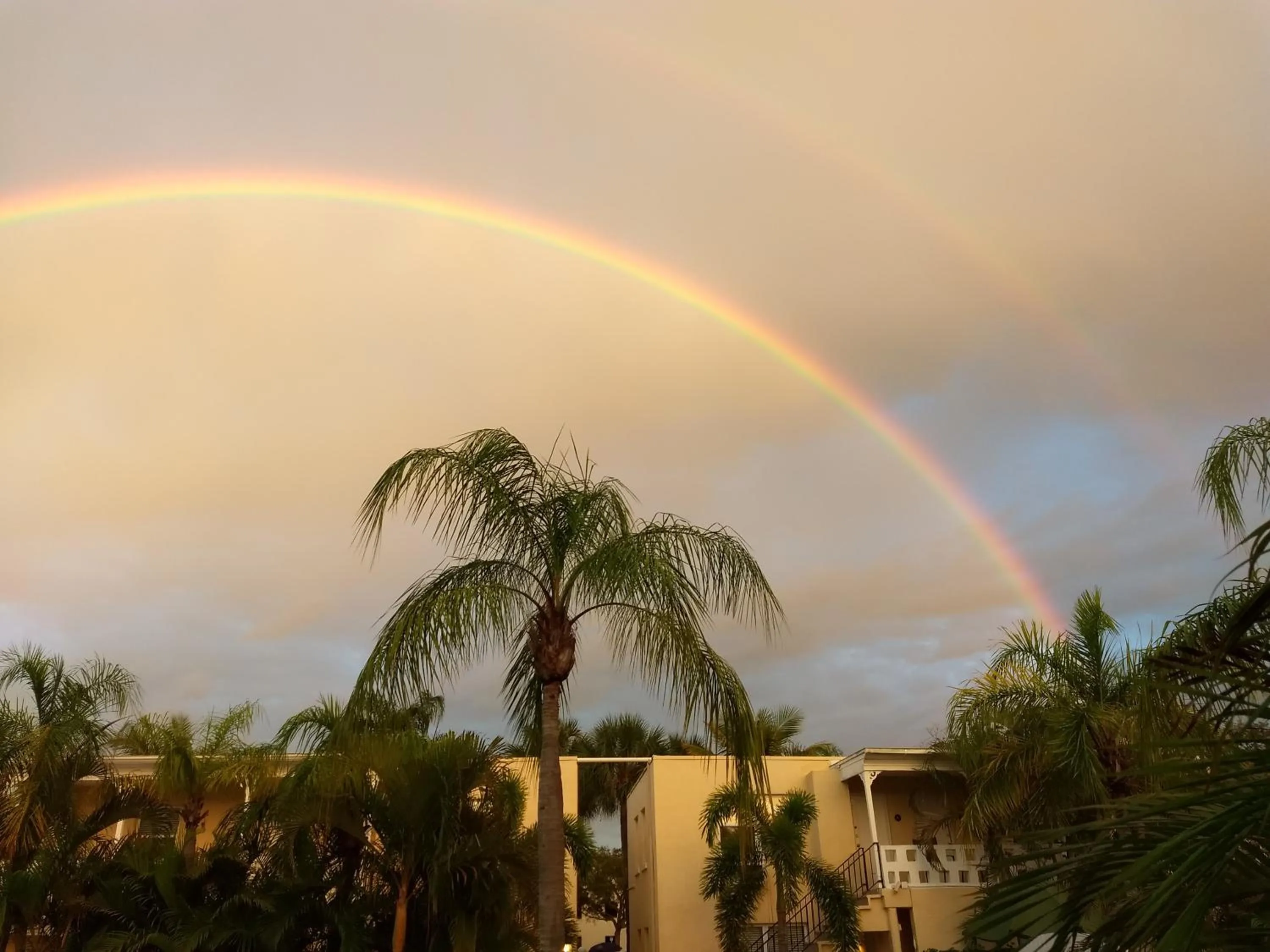 Day in Venice Beach Villas