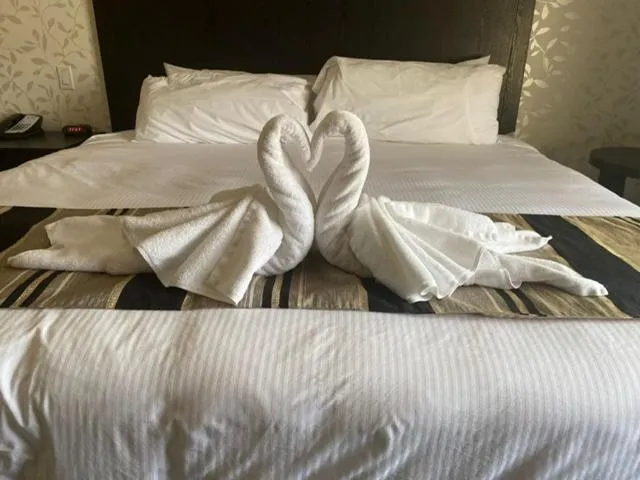 Bed in Stars Inn