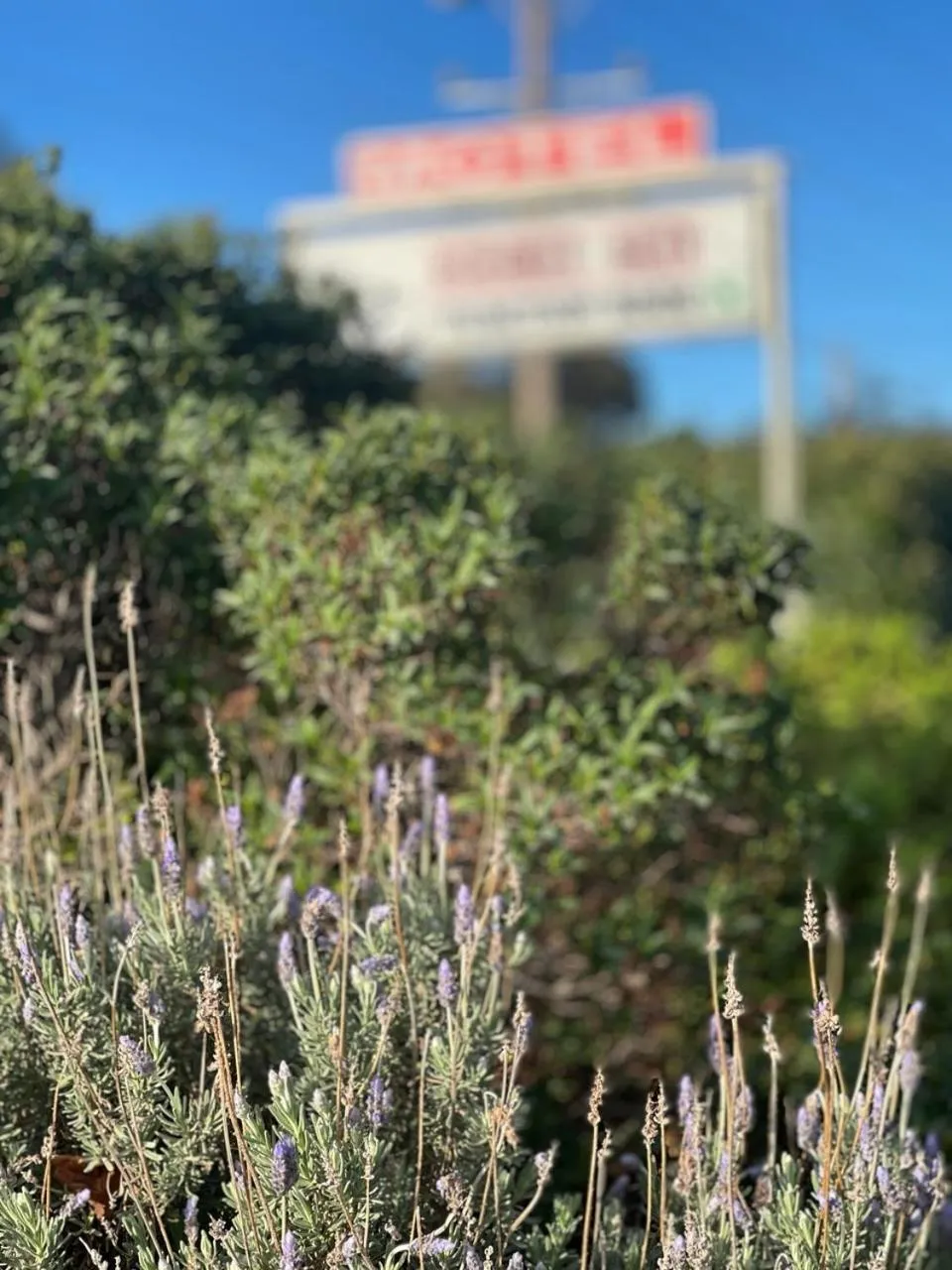 The Highlander Motel - 24HR Check In