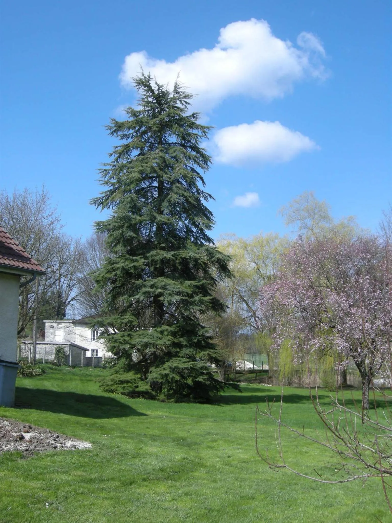 Garden view in Le Grand Pré