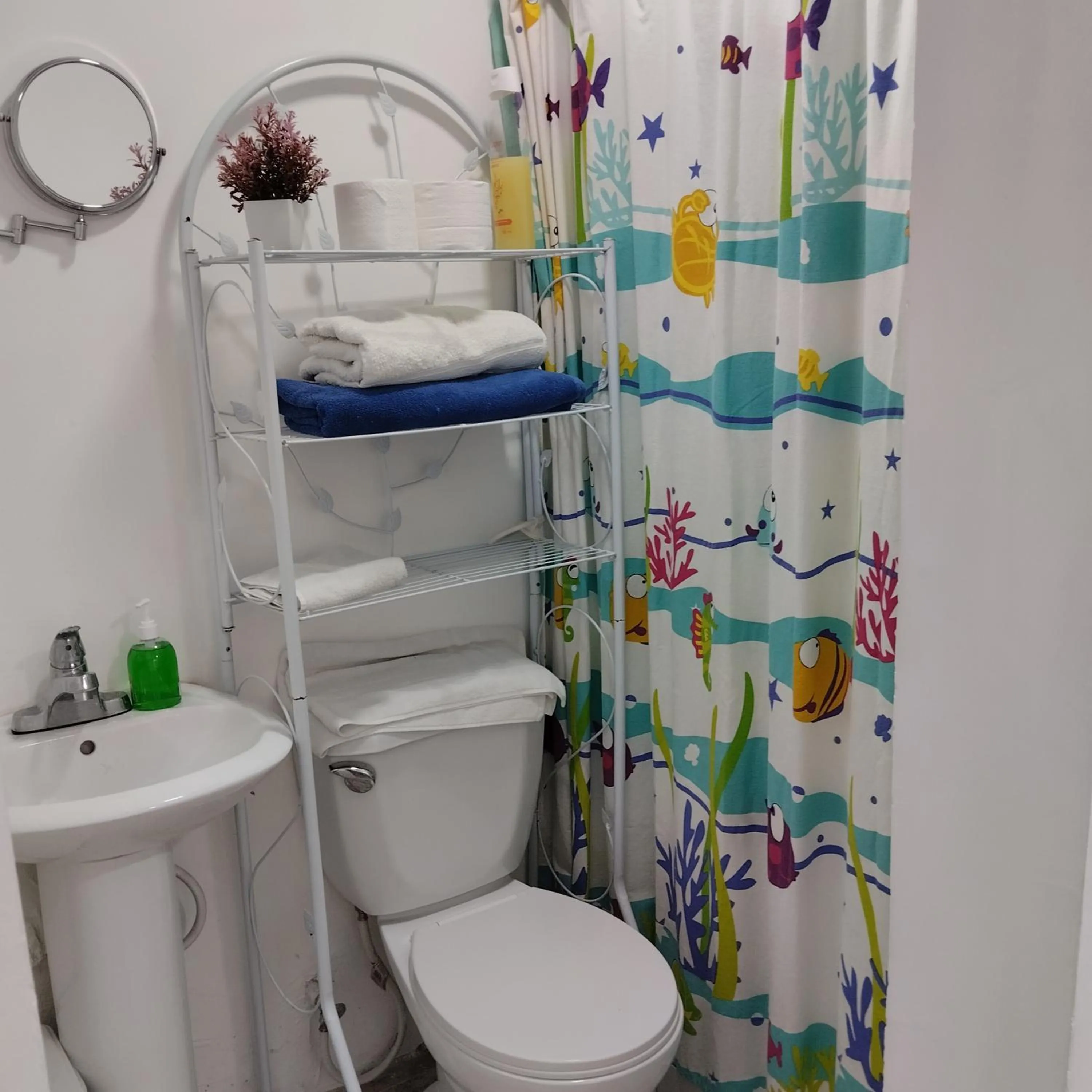 Bathroom in Nely y Pietro share apartment