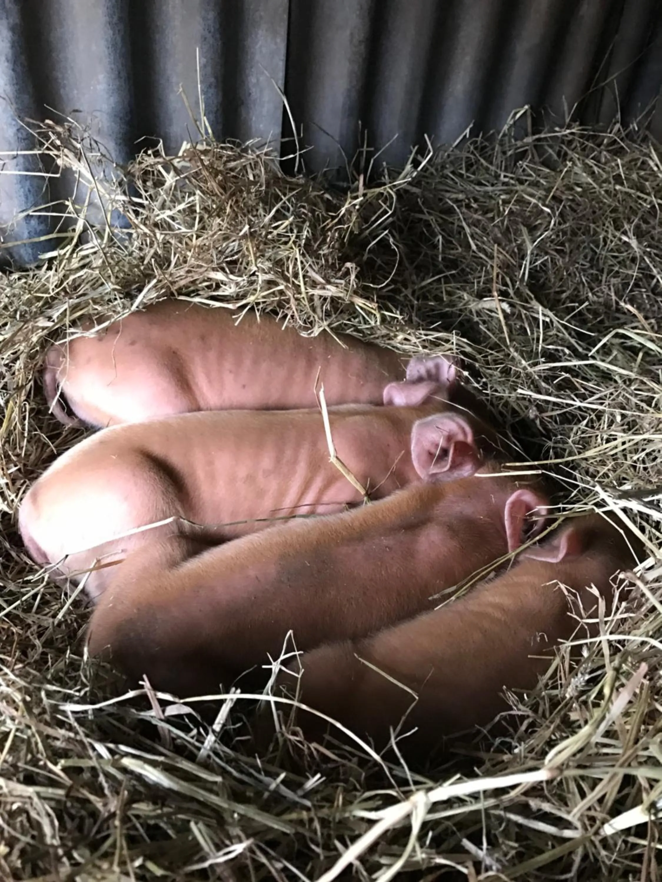 Garrison Farm with Hot Tub