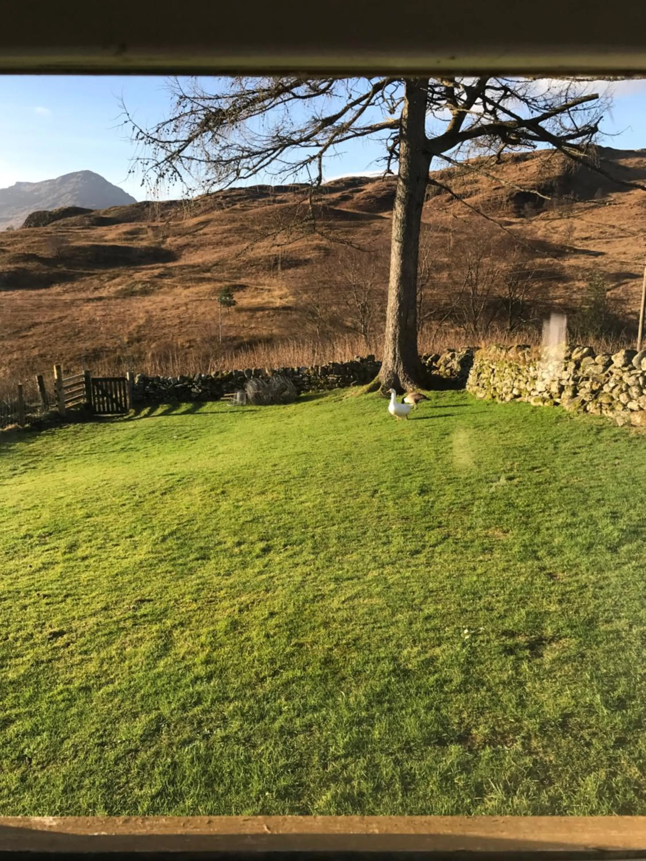Pets in Garrison Farm with Hot Tub