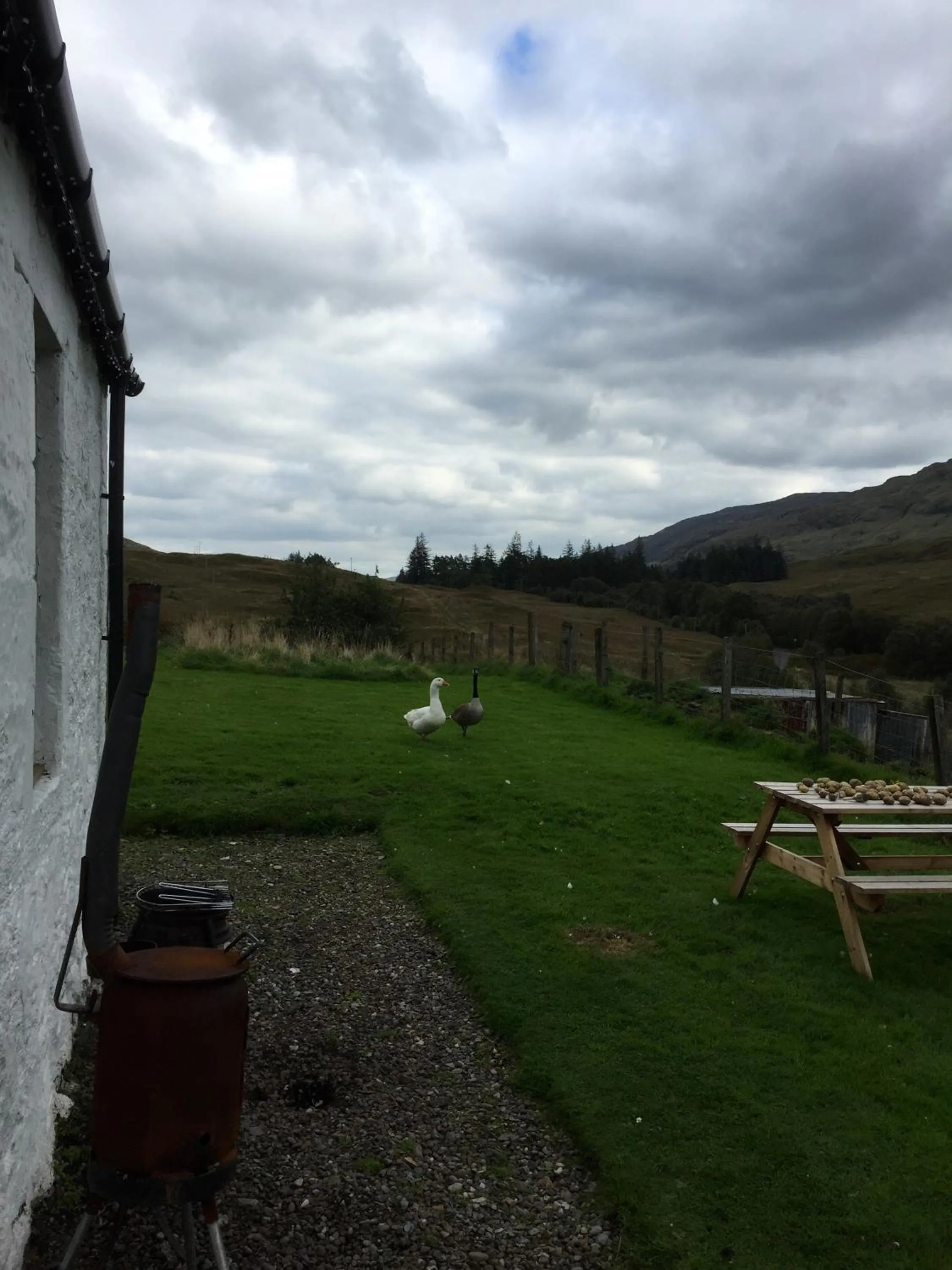 Pets in Garrison Farm with Hot Tub