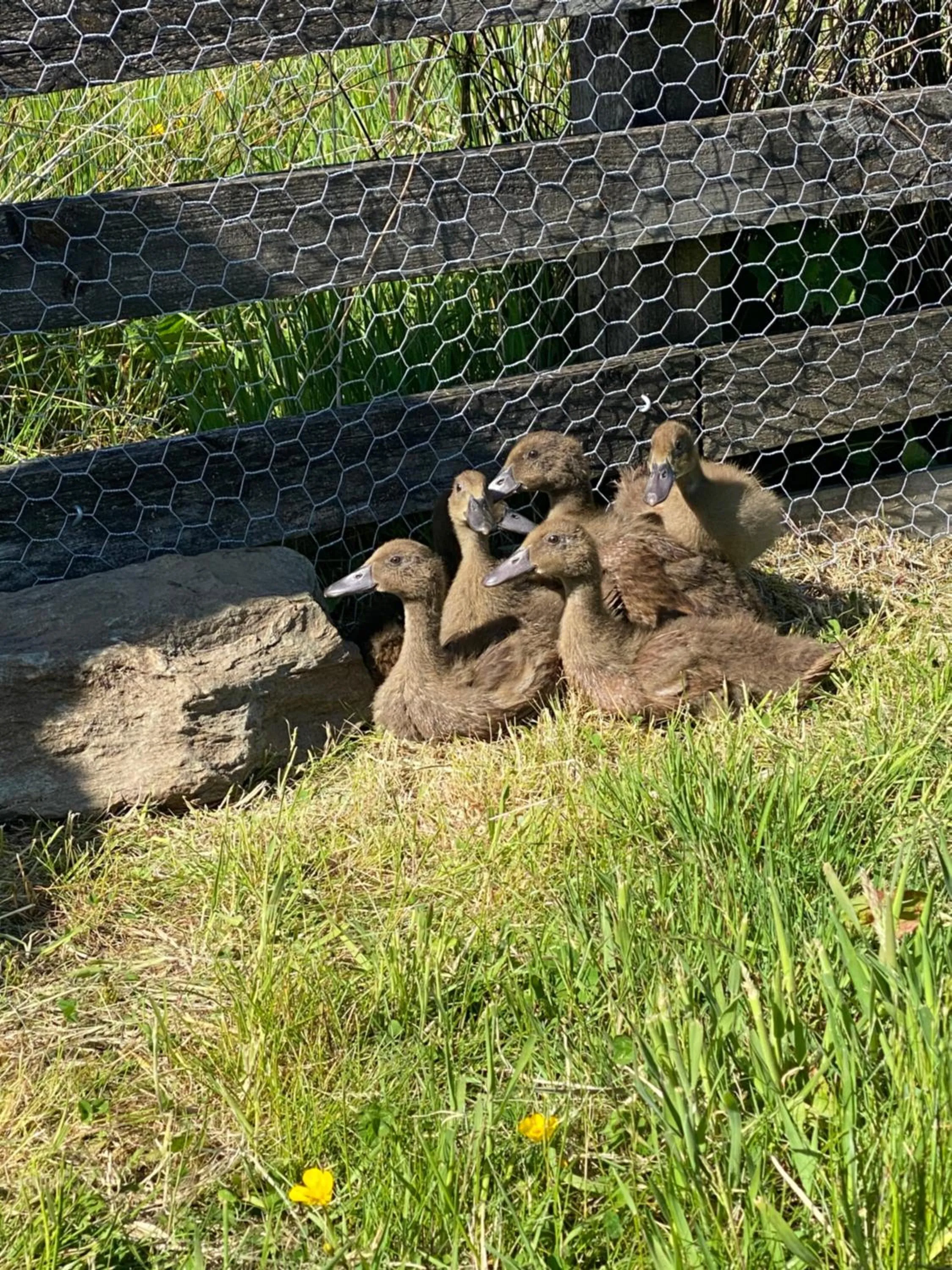 Garrison Farm with Hot Tub
