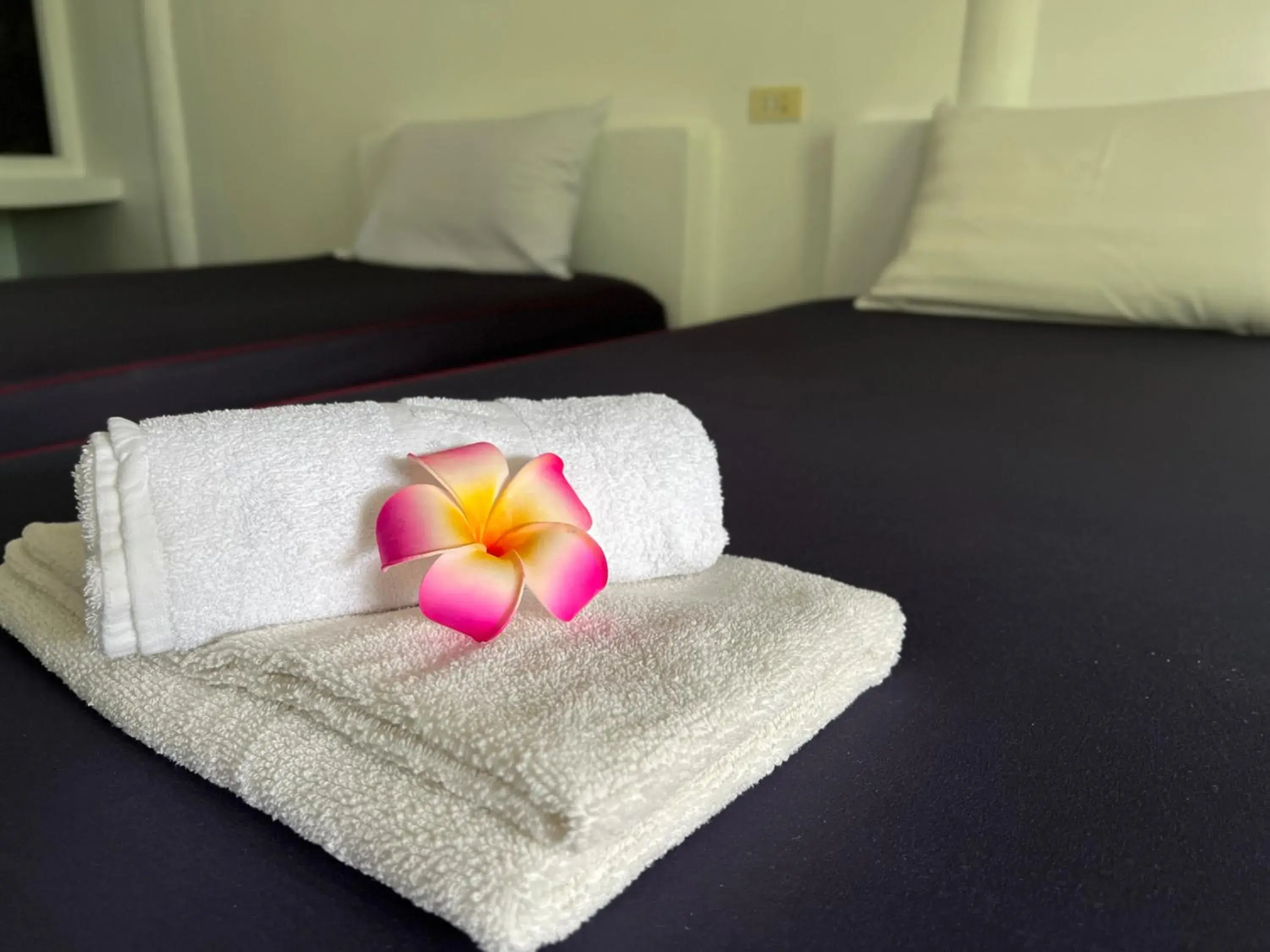 Twin Room with Terrace in The Green Resort Twin Room with Terrace in The Green Resort