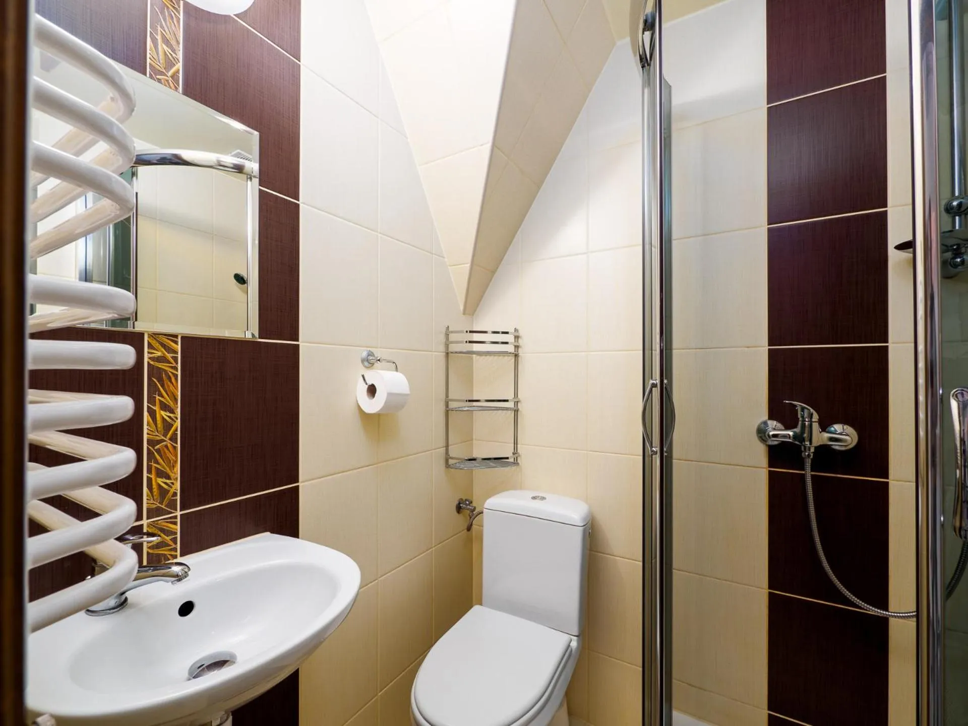 Shower in Willa Lichajówka