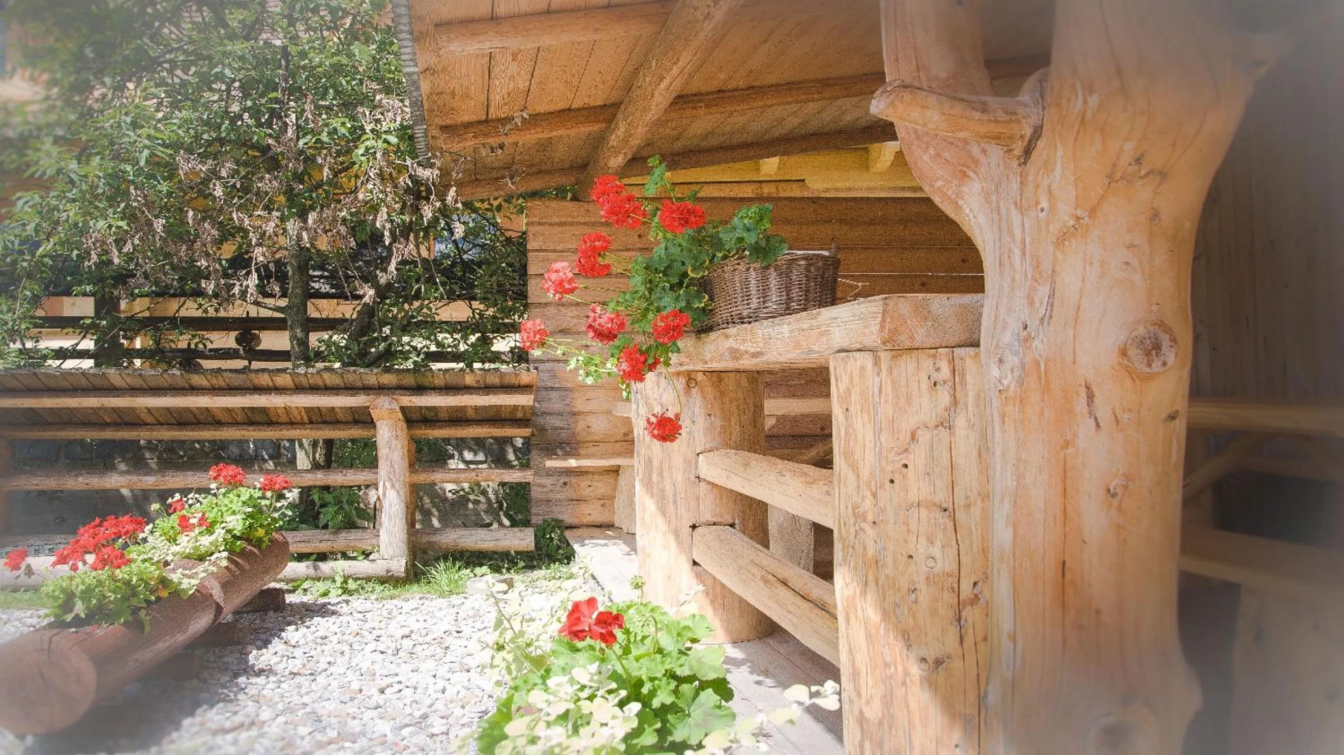 Activities in Willa Lichajówka