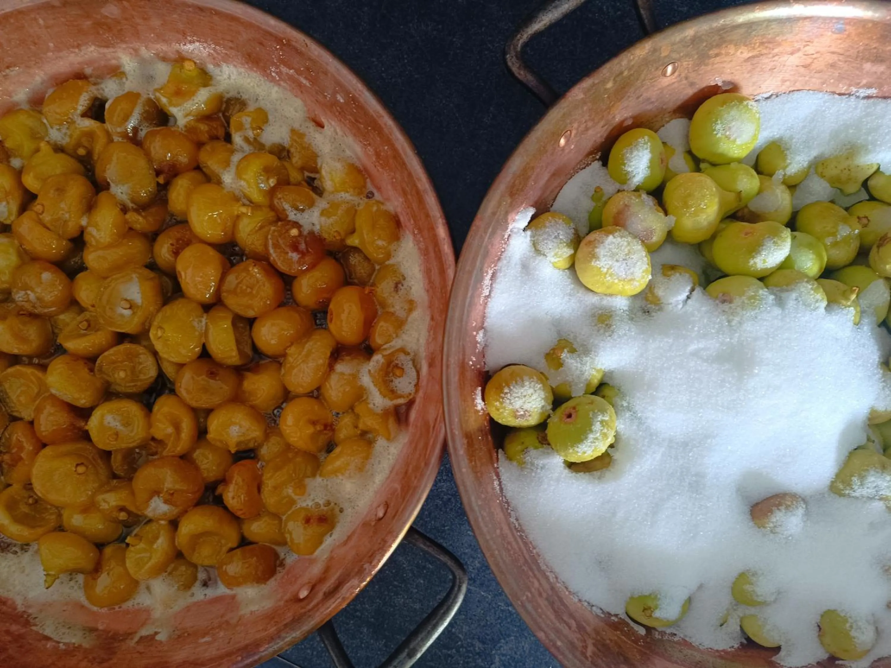 Campagne de la source St Martin B&B