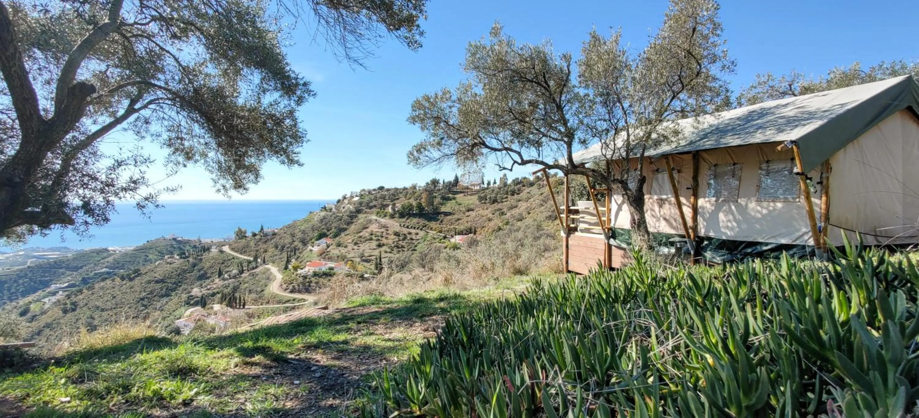 Property building in Campo Agave Luxury Tents