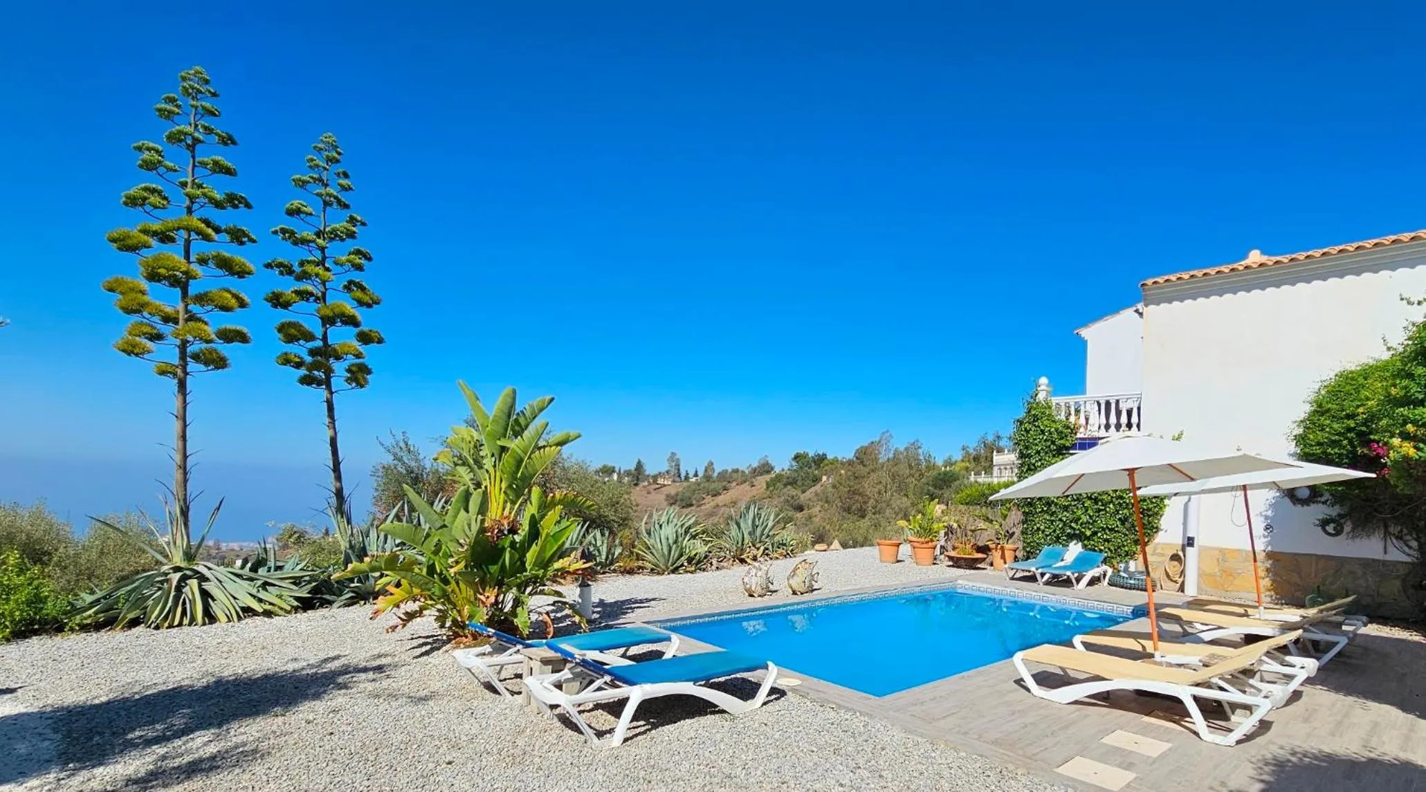 Pool view in Campo Agave Luxury Tents