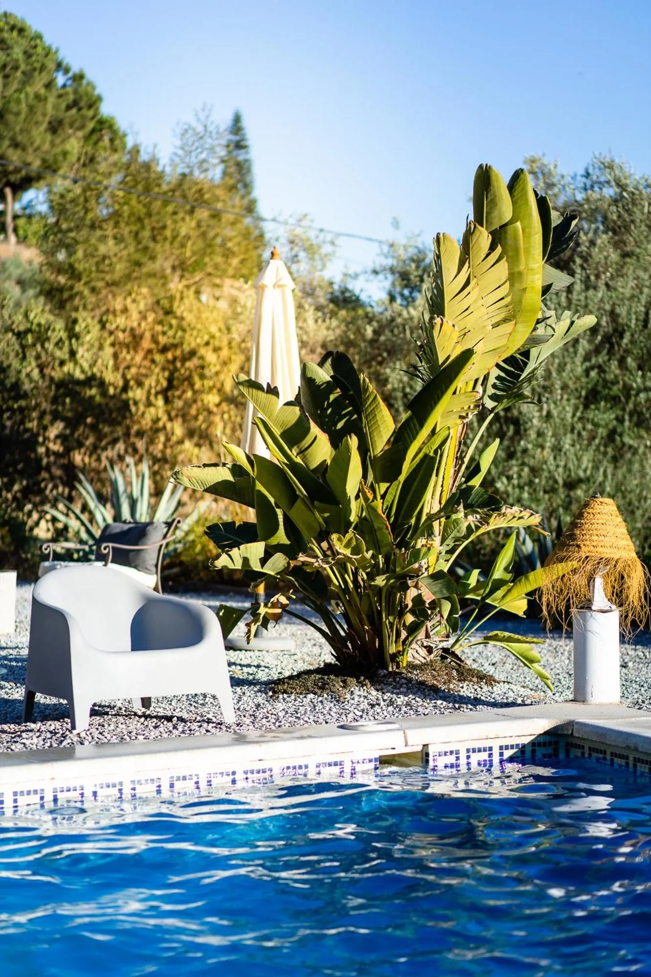 Pool view in Campo Agave Luxury Tents