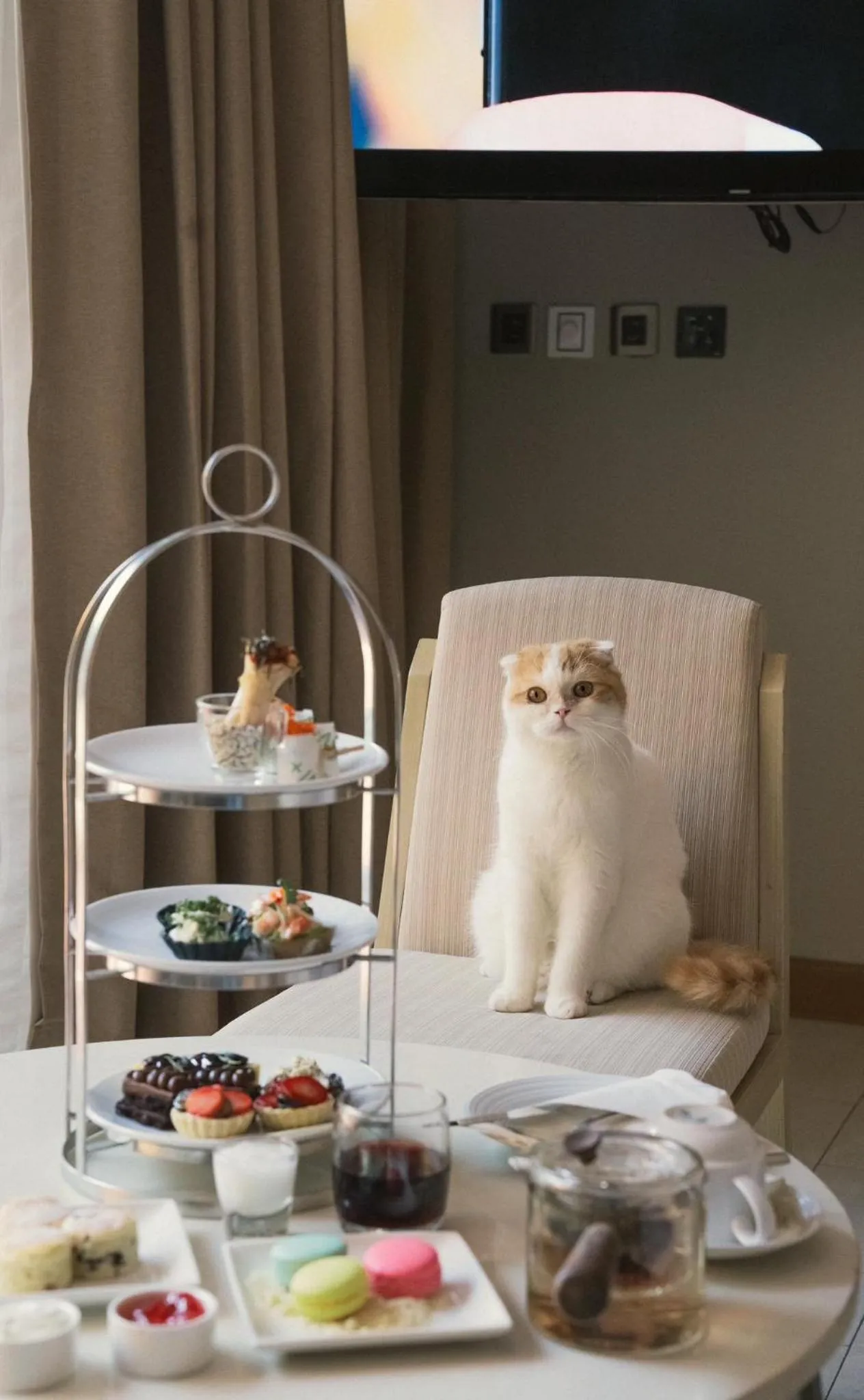 pet friendly in Avani+ Hua Hin Resort