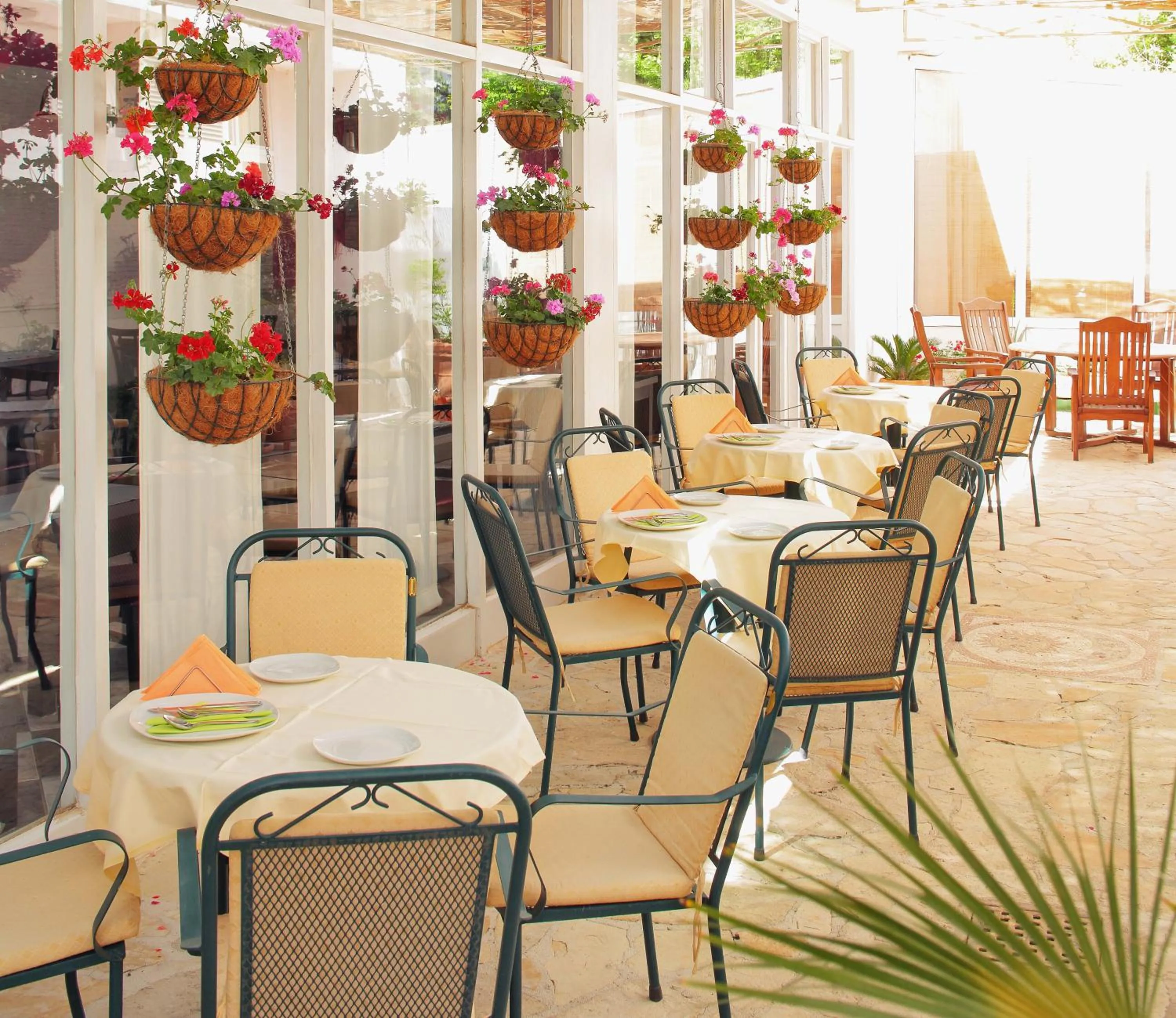 Restaurant/places to eat in Hotel Villa Adriatica - Adults Only